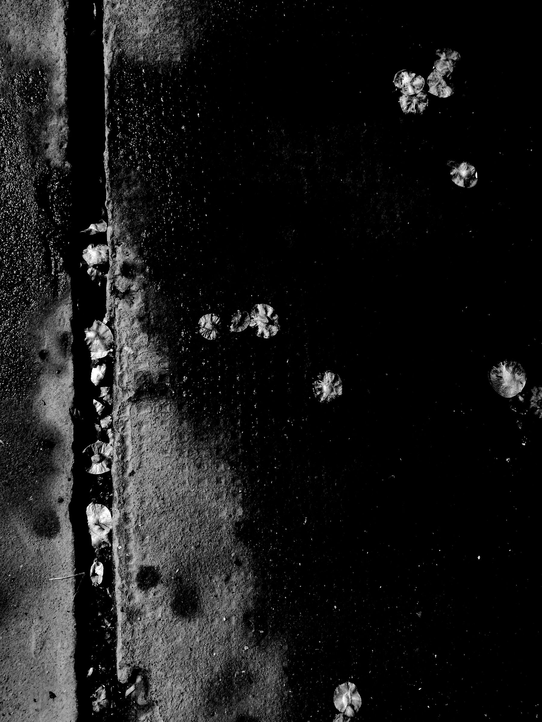 Trovare una soluzione