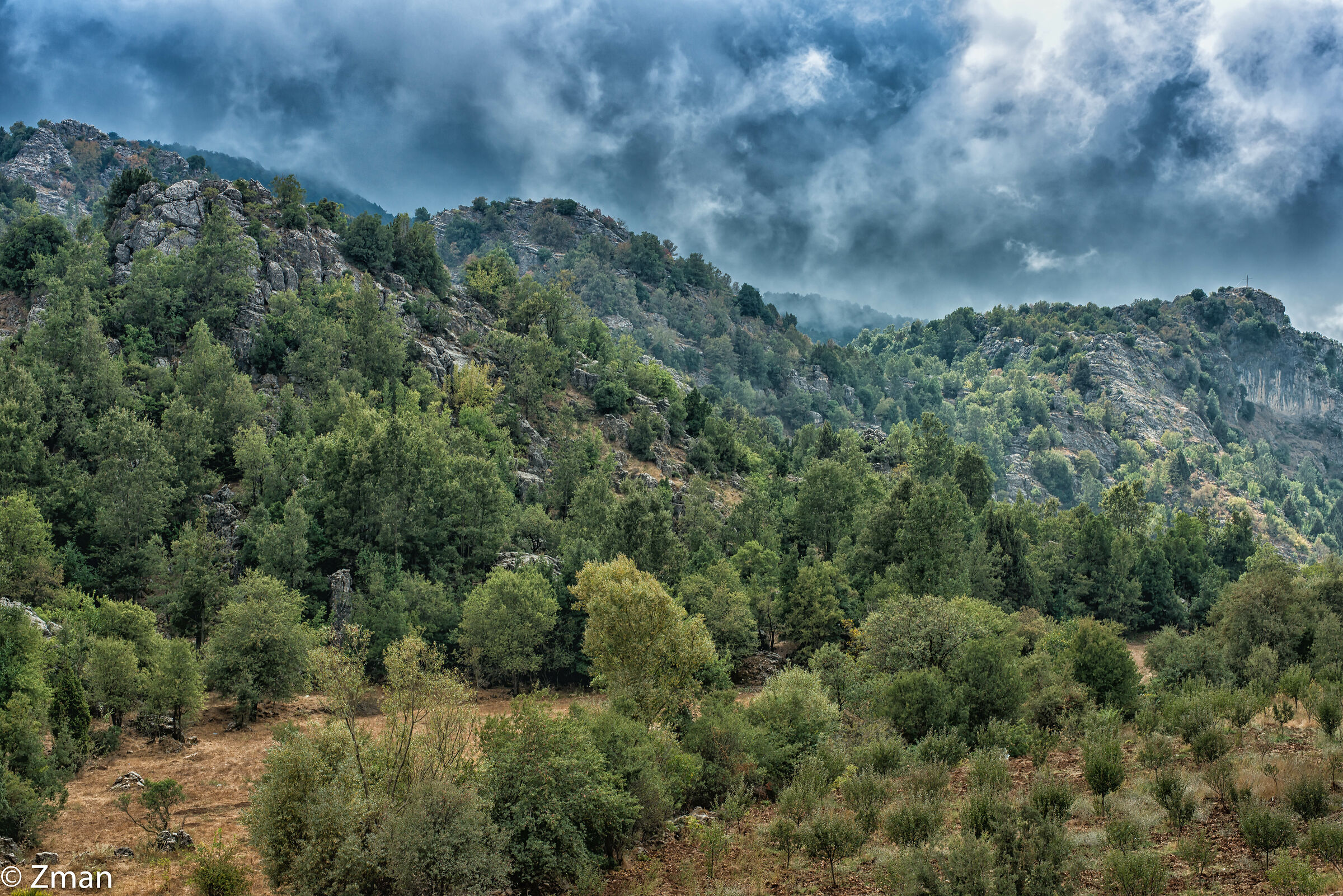 Natura grezza