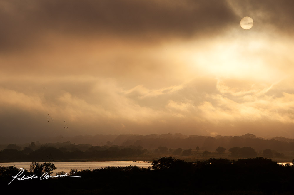 Alba sul Rio delle Amazzoni