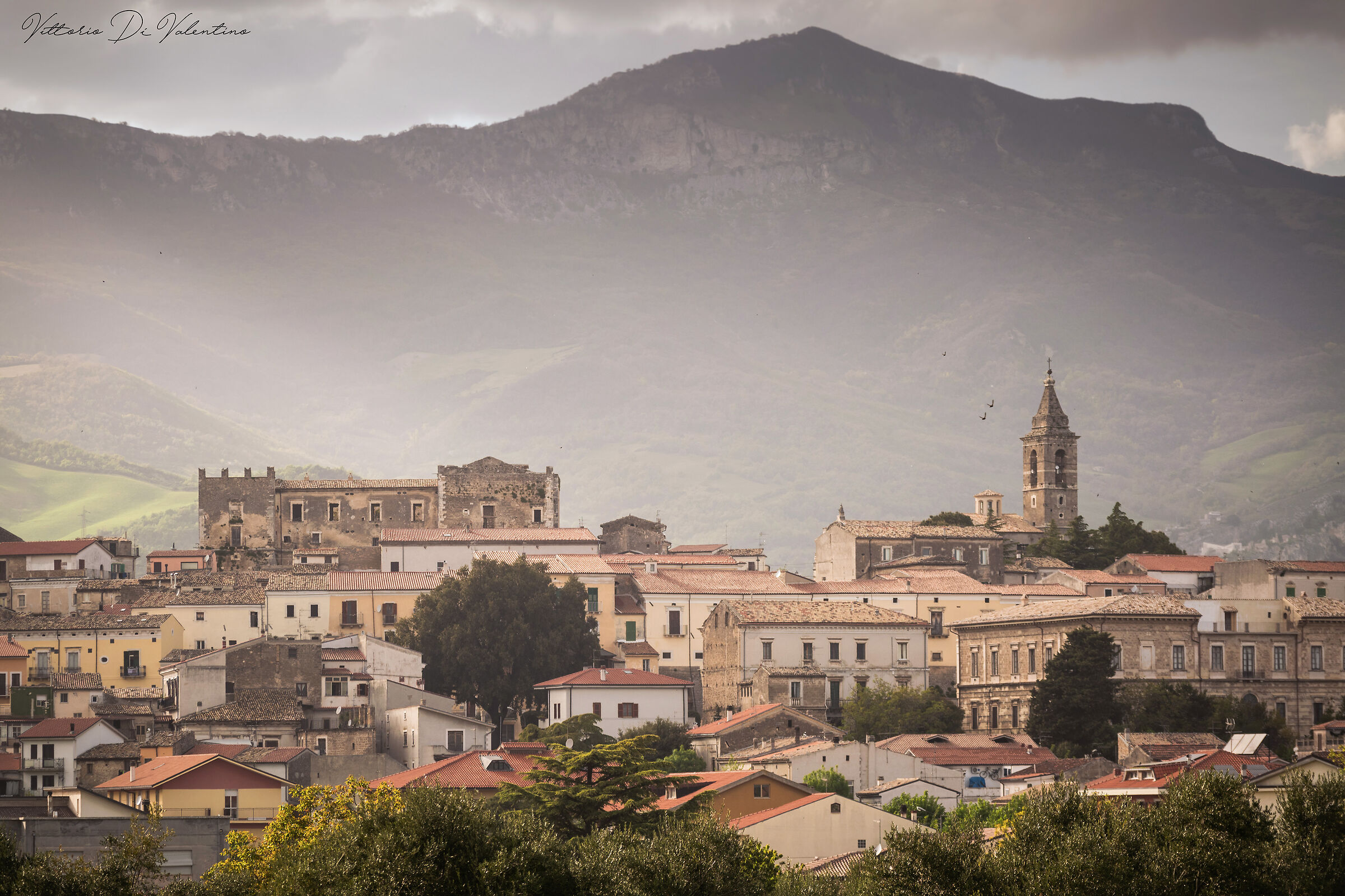 Spring ' ' Toccolana ' '