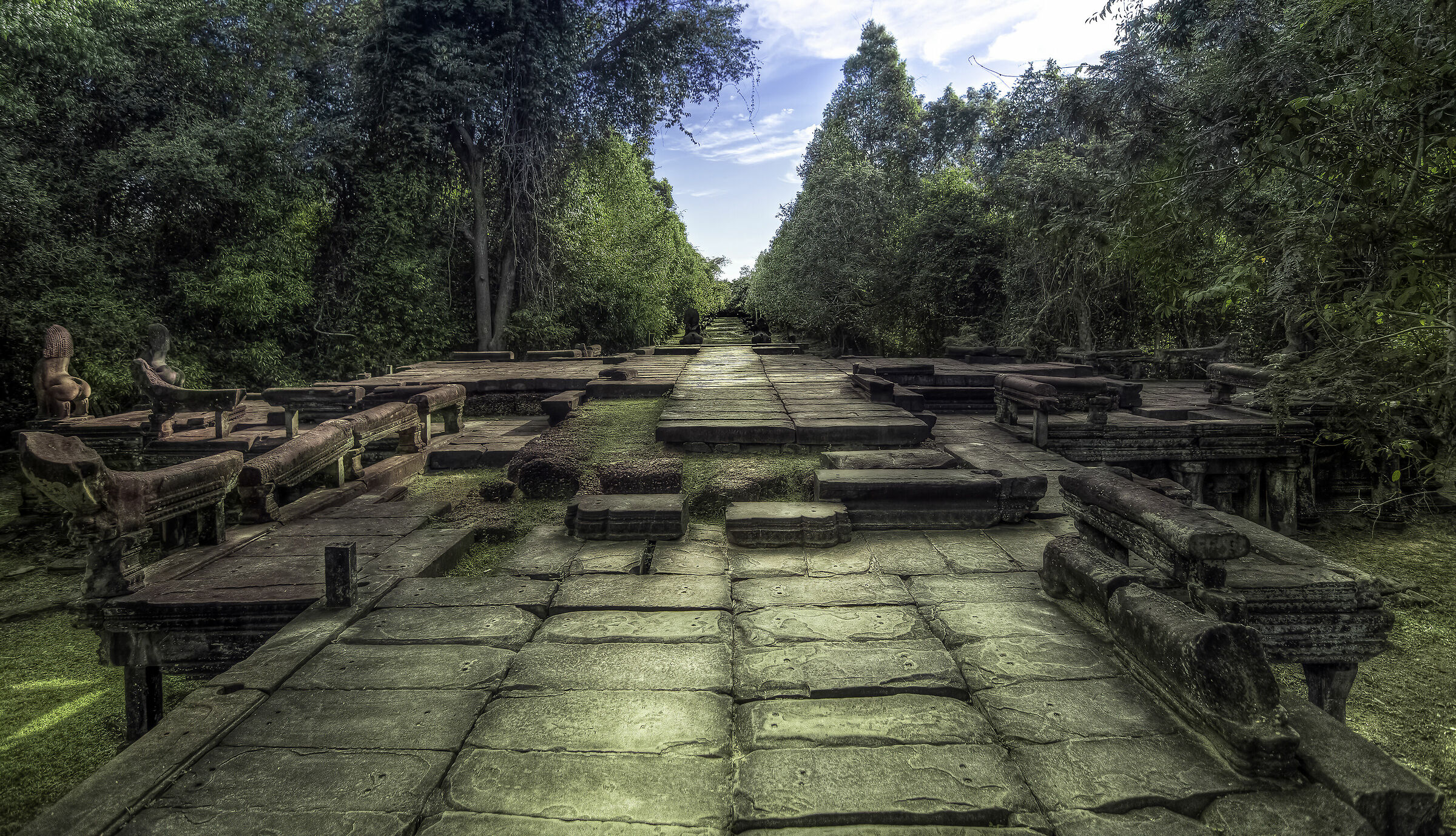 Cambogia, in giro per la foresta