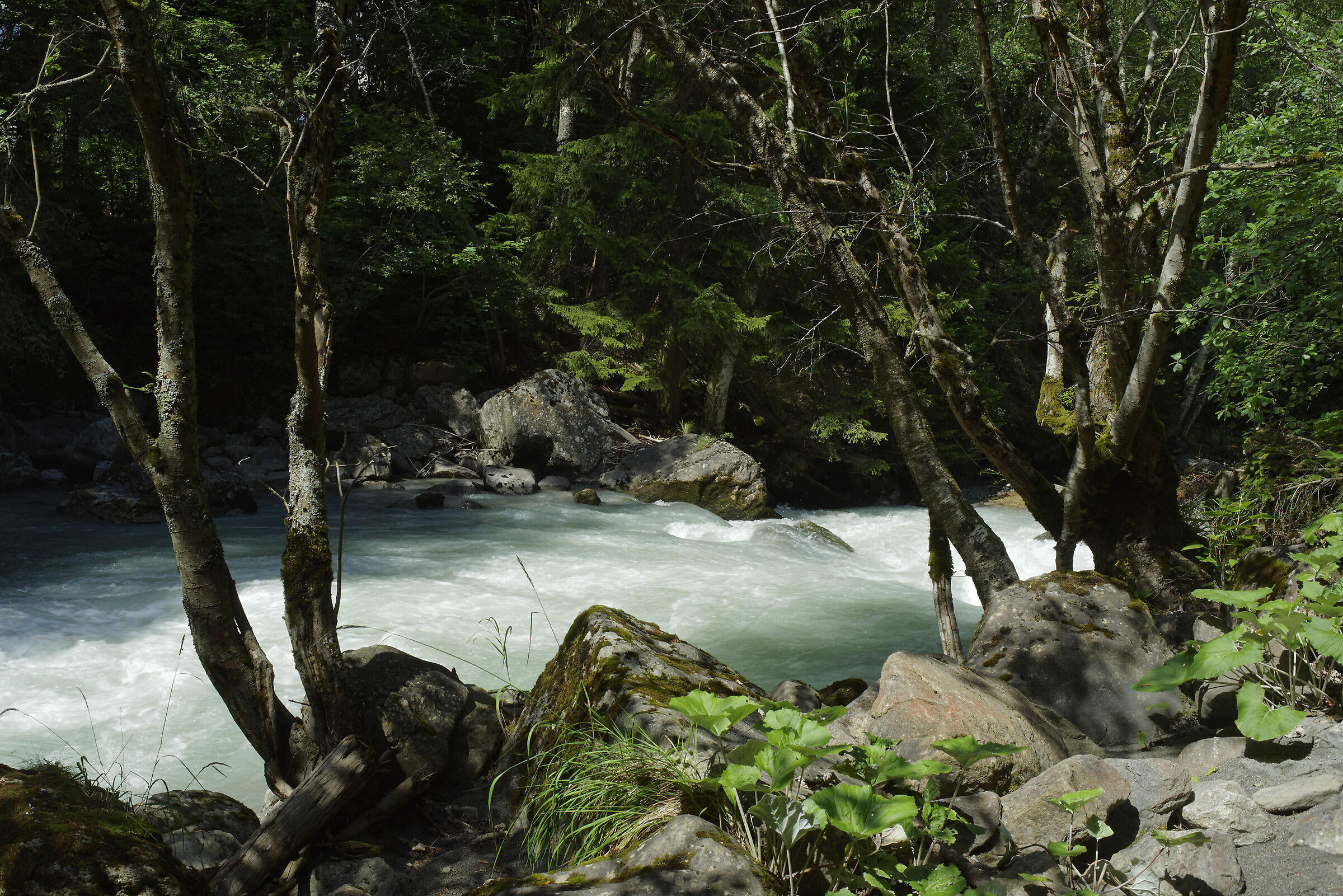 Prè St. Didier-Orrido