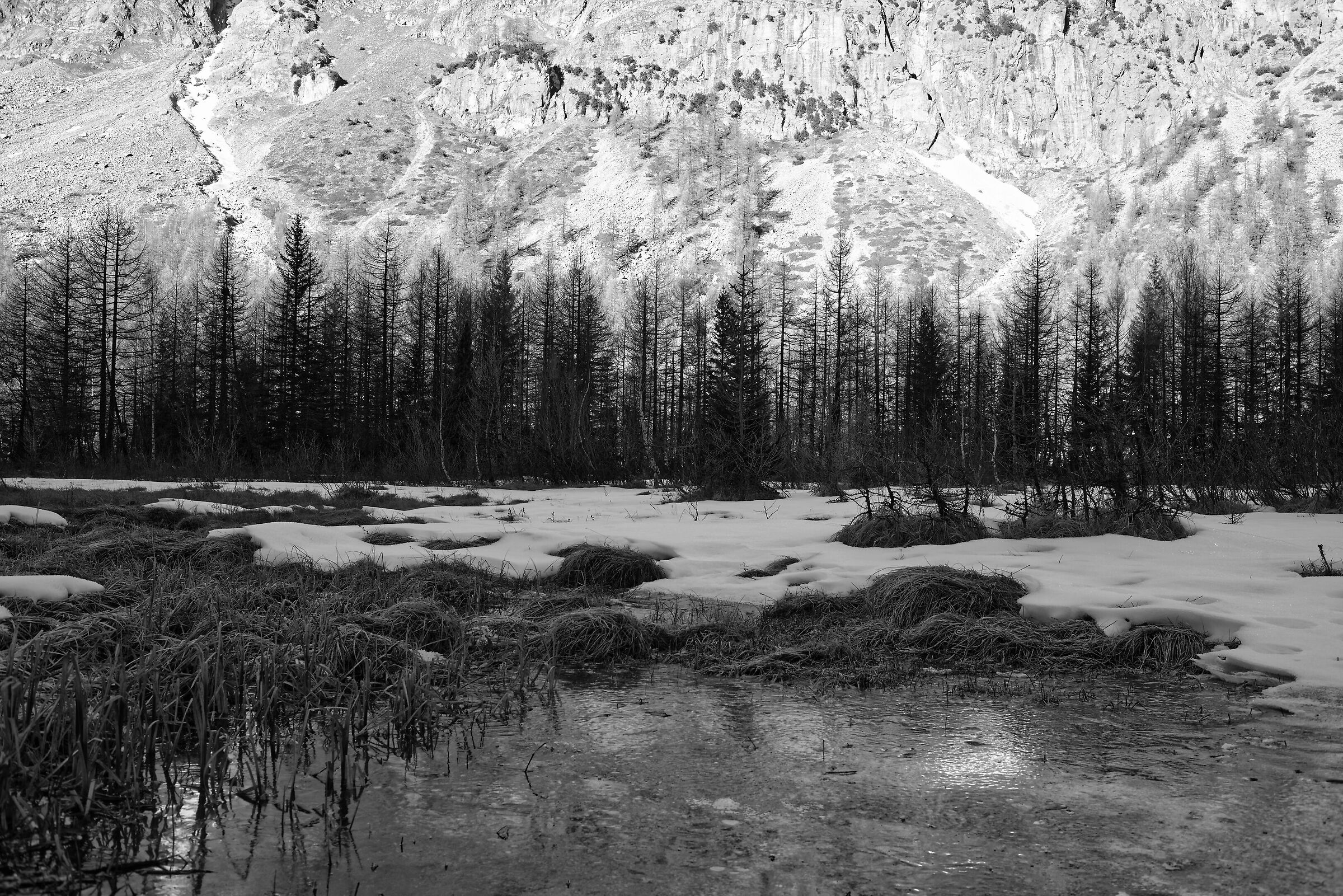 Freboudze-Val Ferret Italiana. December 2015