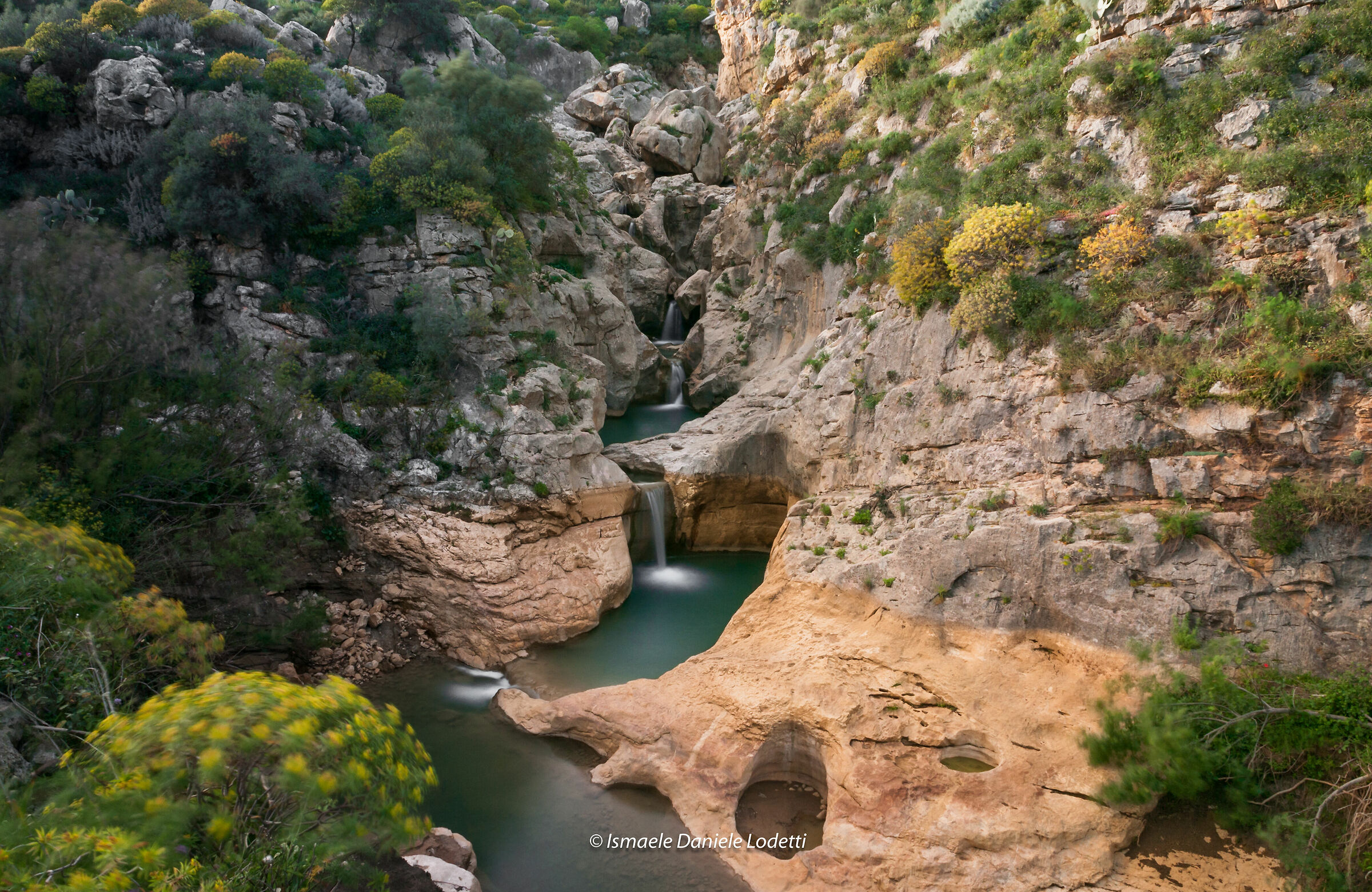 Gordo del Drago, Corleone (PA)