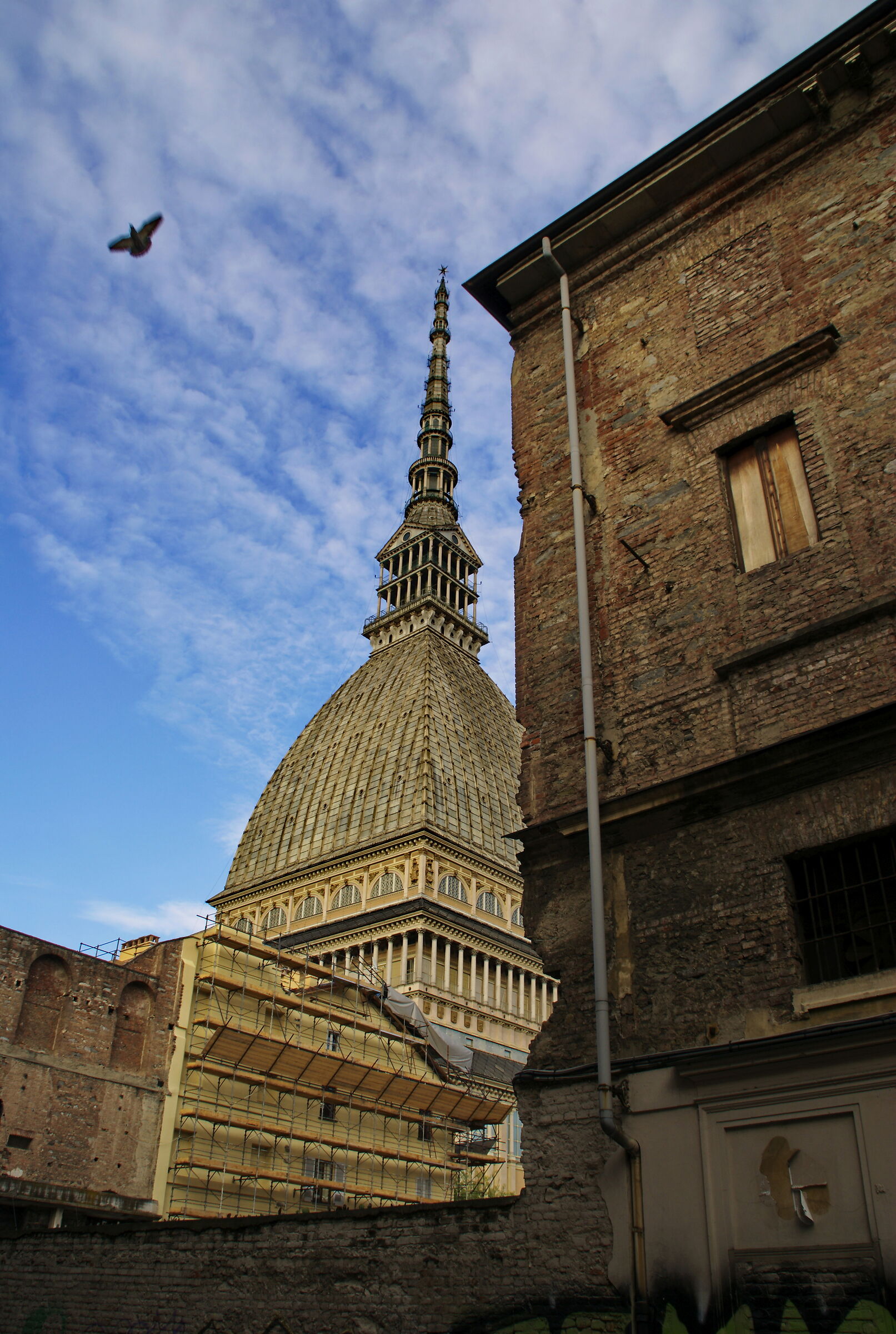 Looking for the Mole, 2