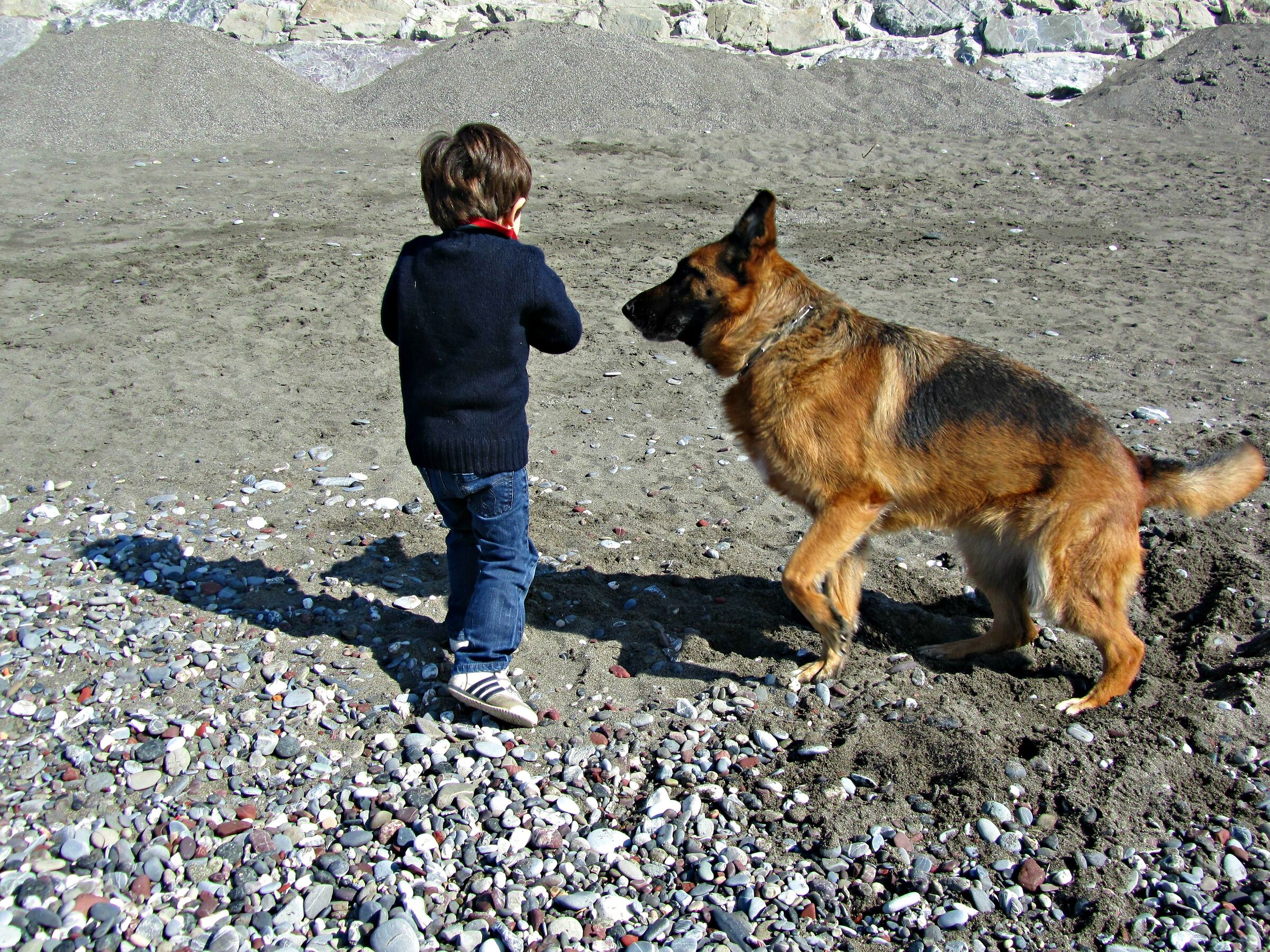 Ti prego...mi lanci il bastone?