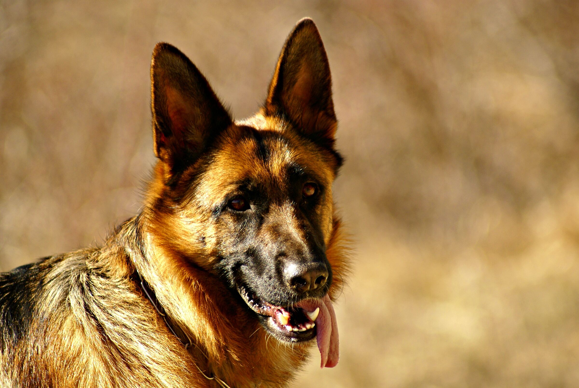 Sono o non sono Bellissima?!