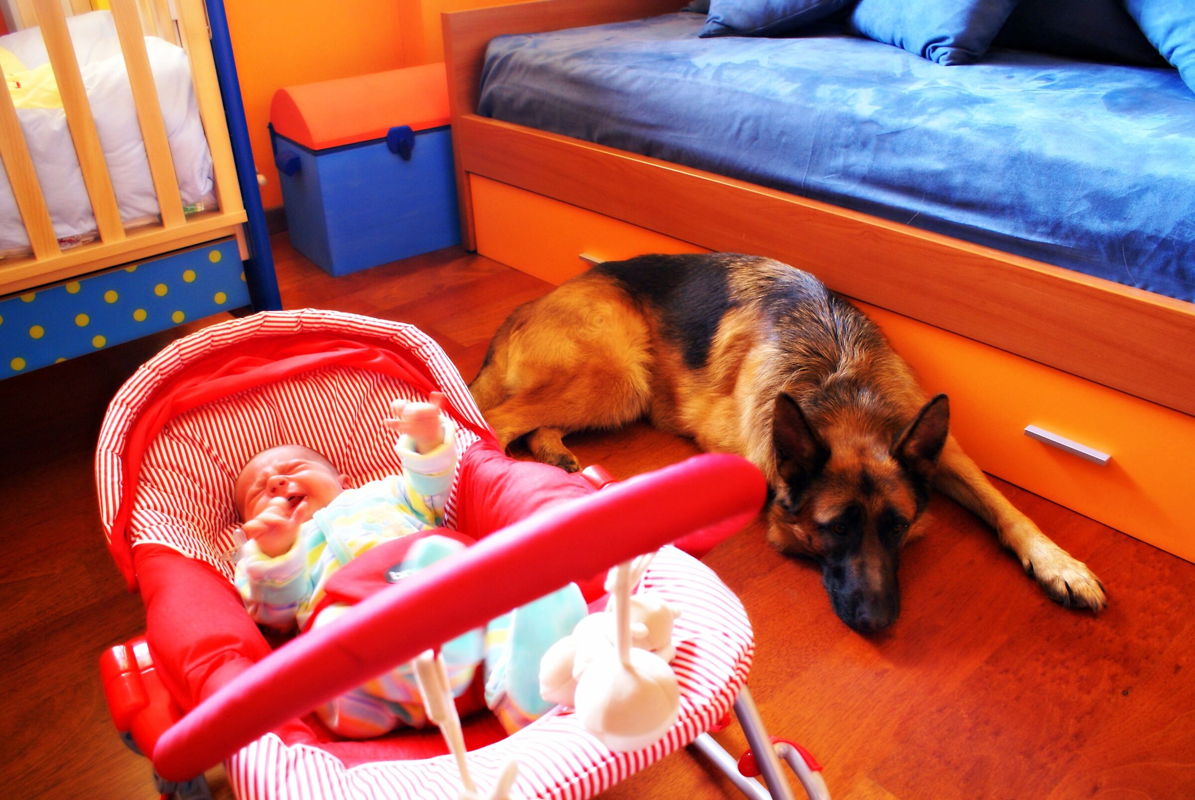 Quiet... I'll stay with him