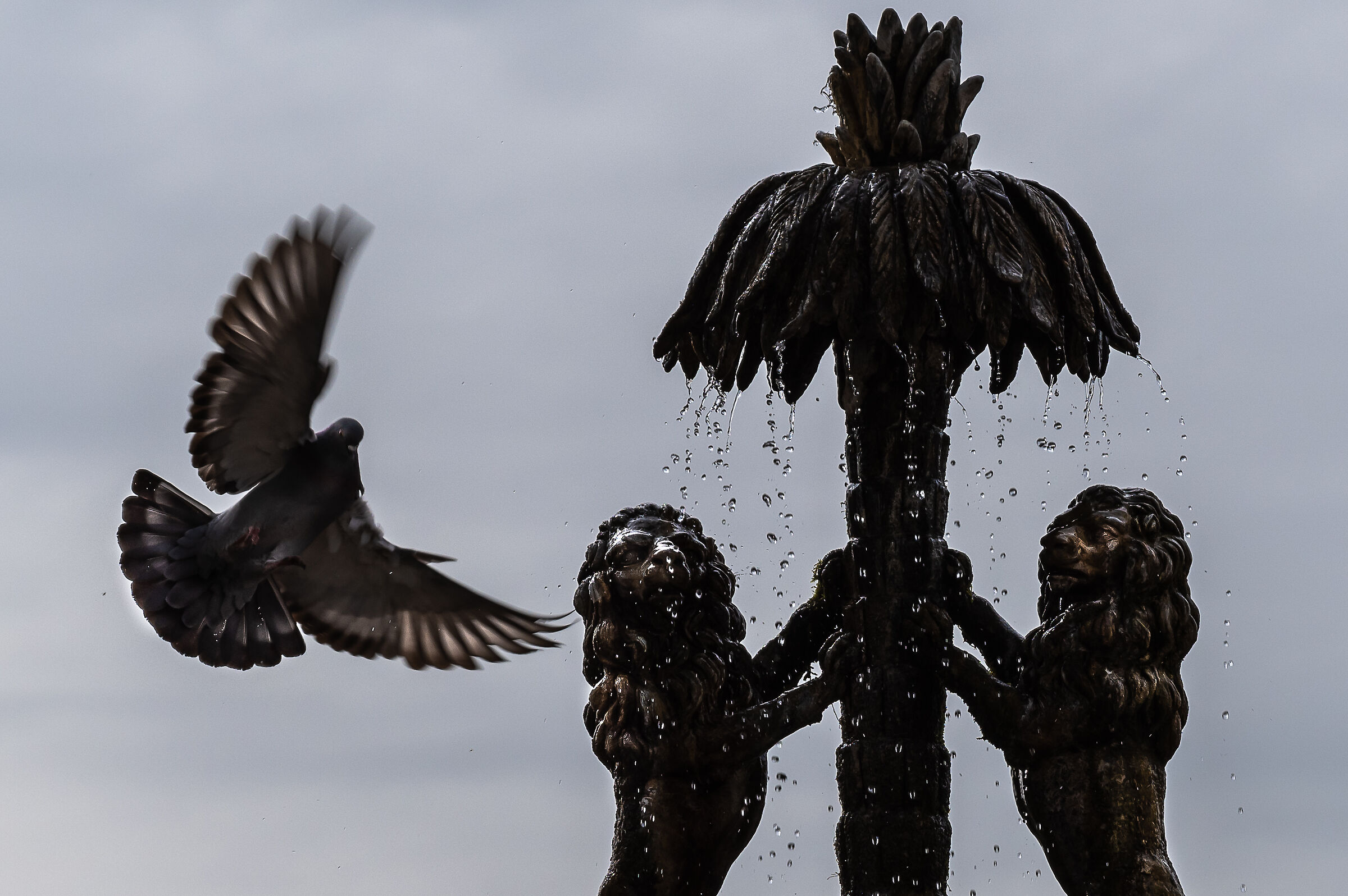 Fontana del giardino dei Priori