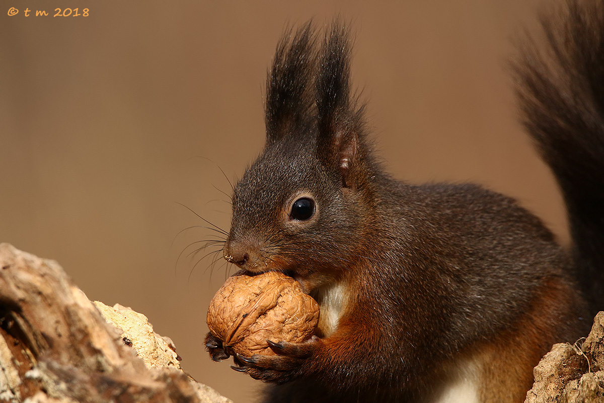 The treasure between my hands