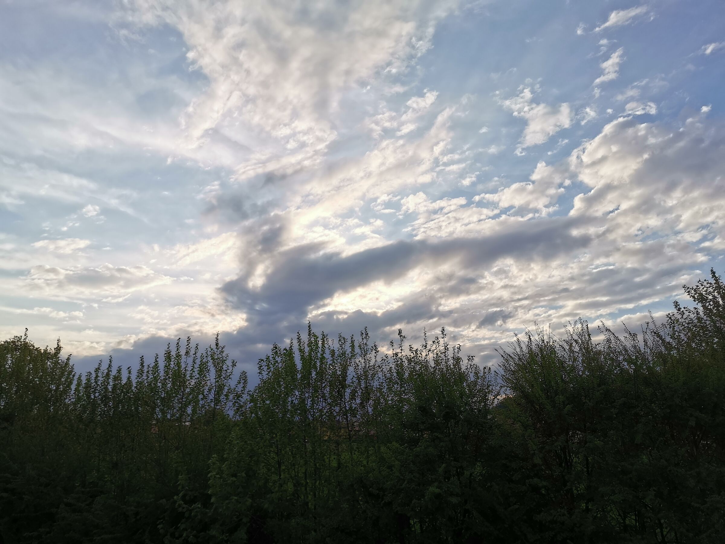 Sunset in the Clouds