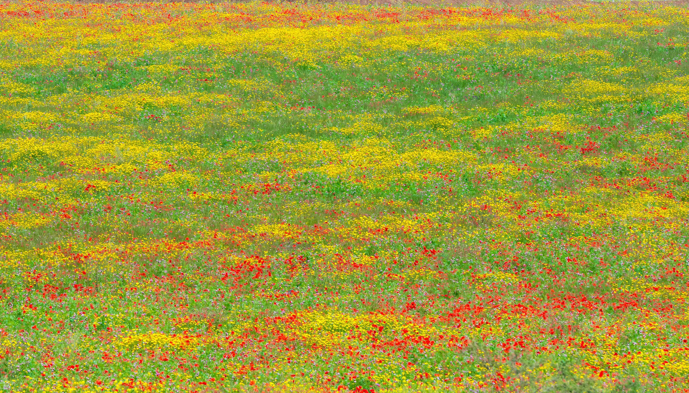 Tavolozza impasticciata