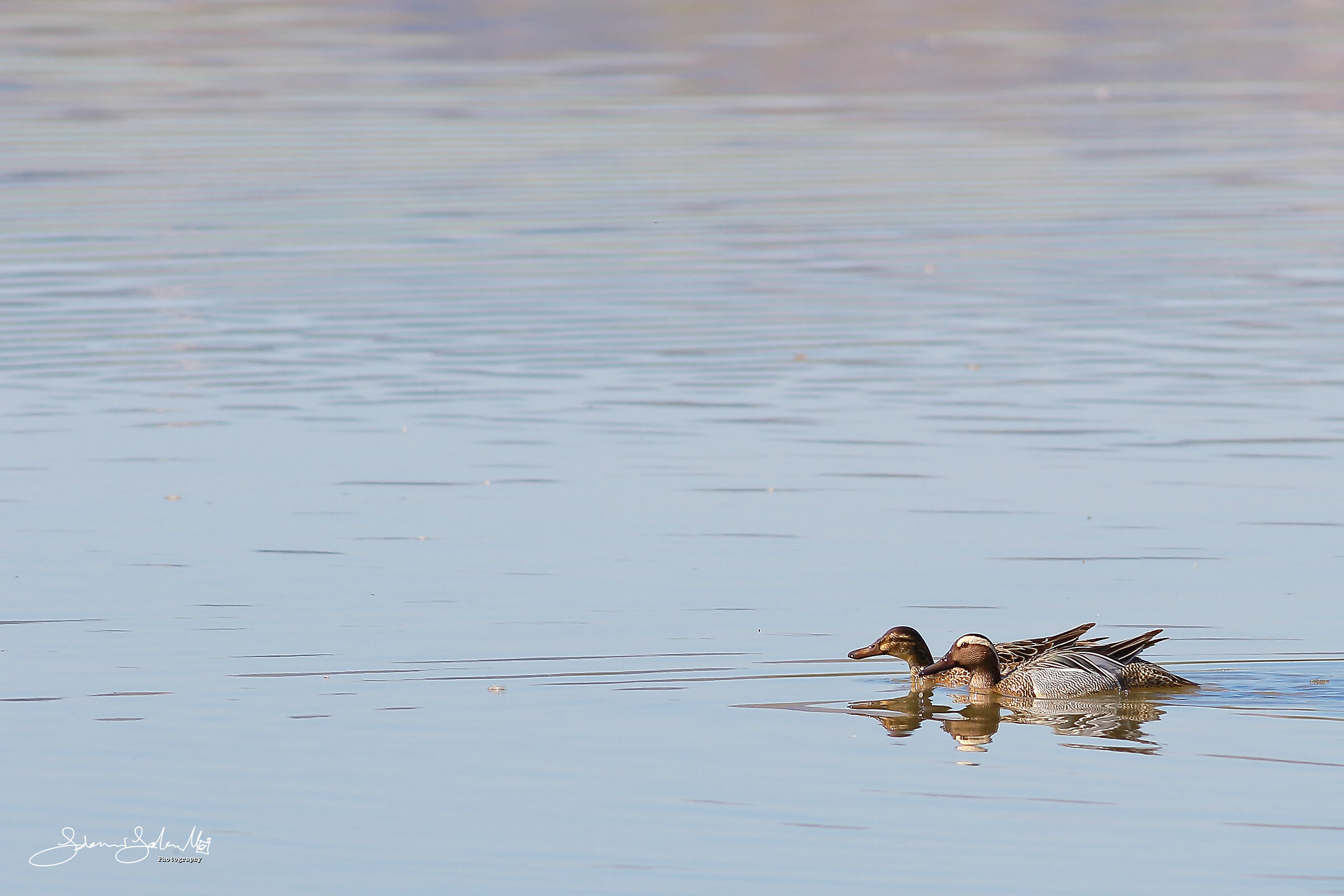 Together in the morning