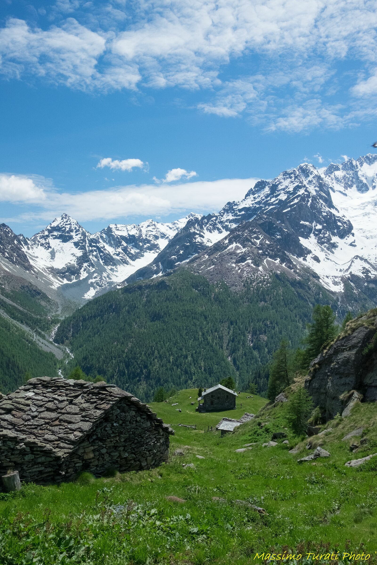 Alpe Oro