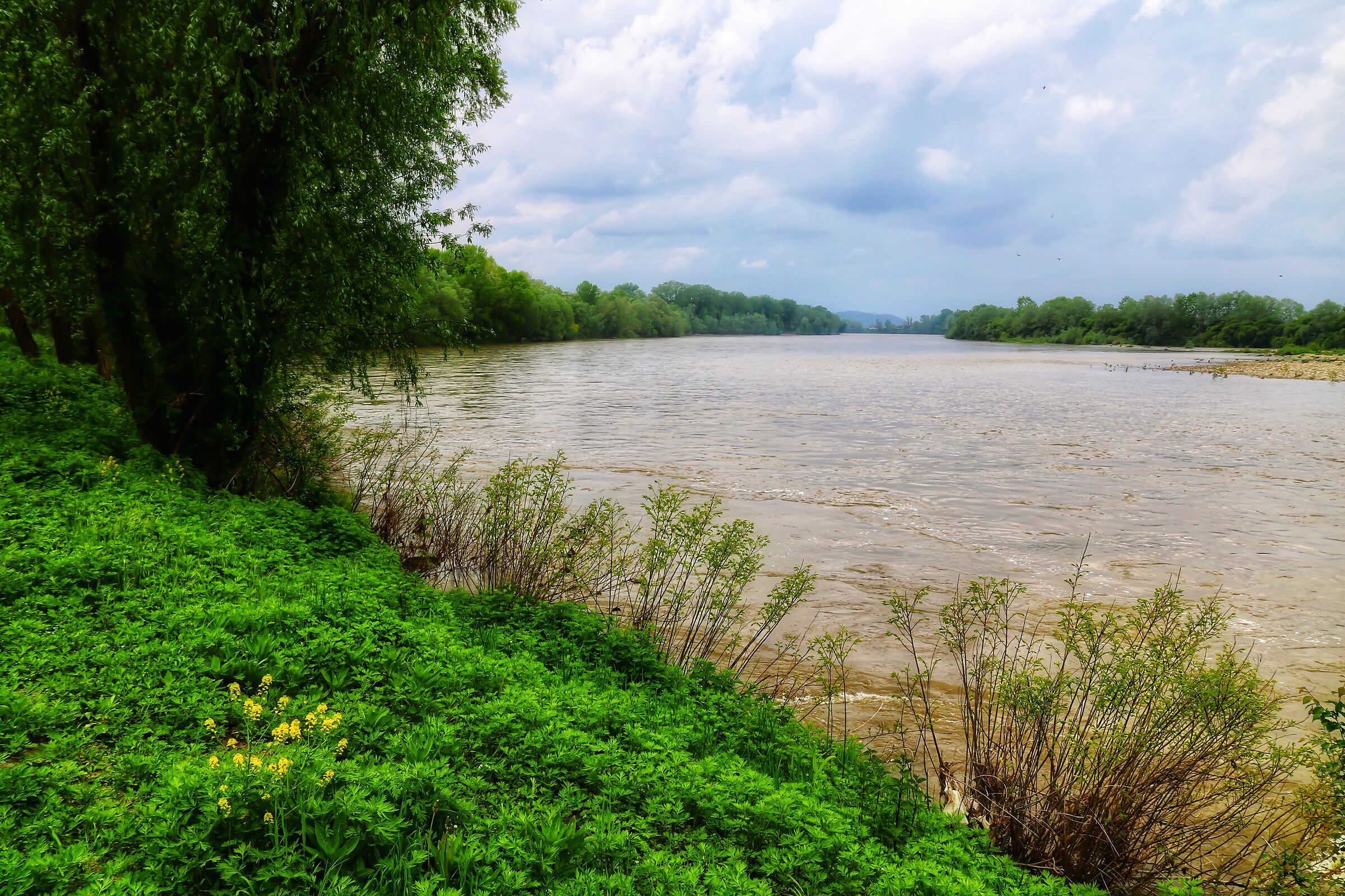 The Po, today, in Casale Monferrato.