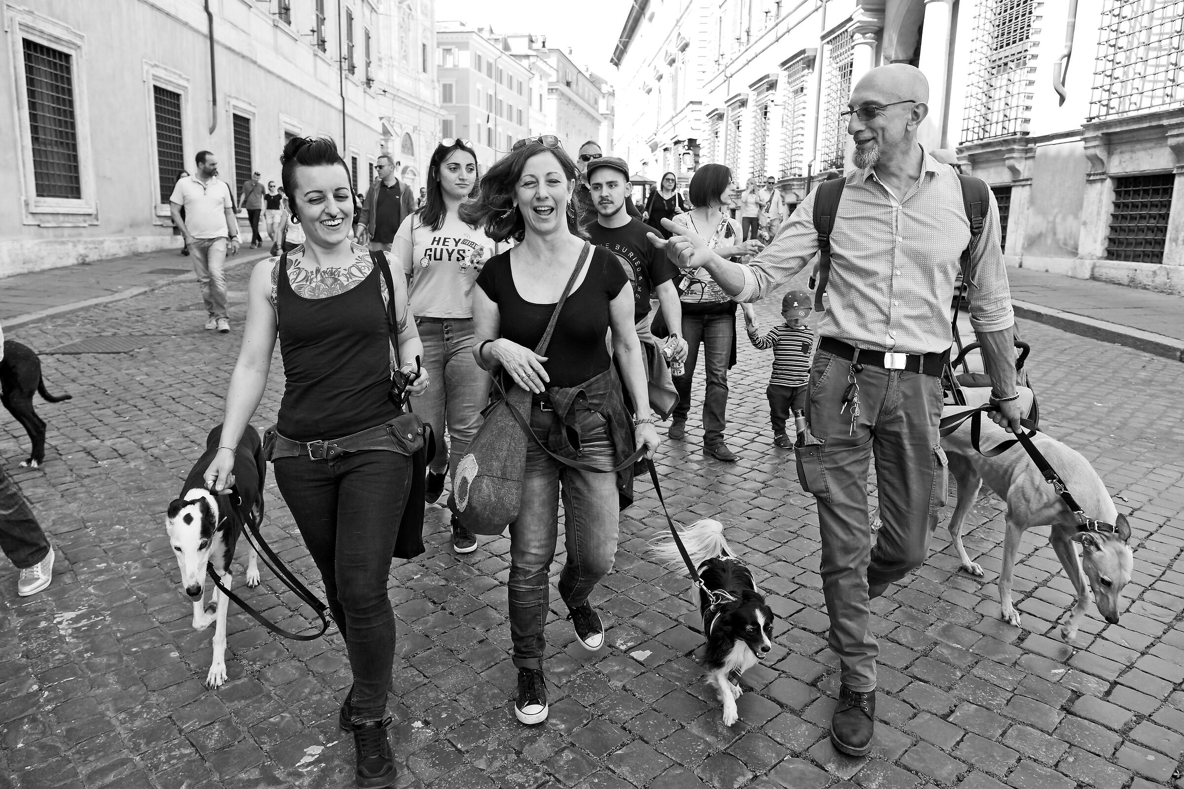 Il popolo dei levrieri