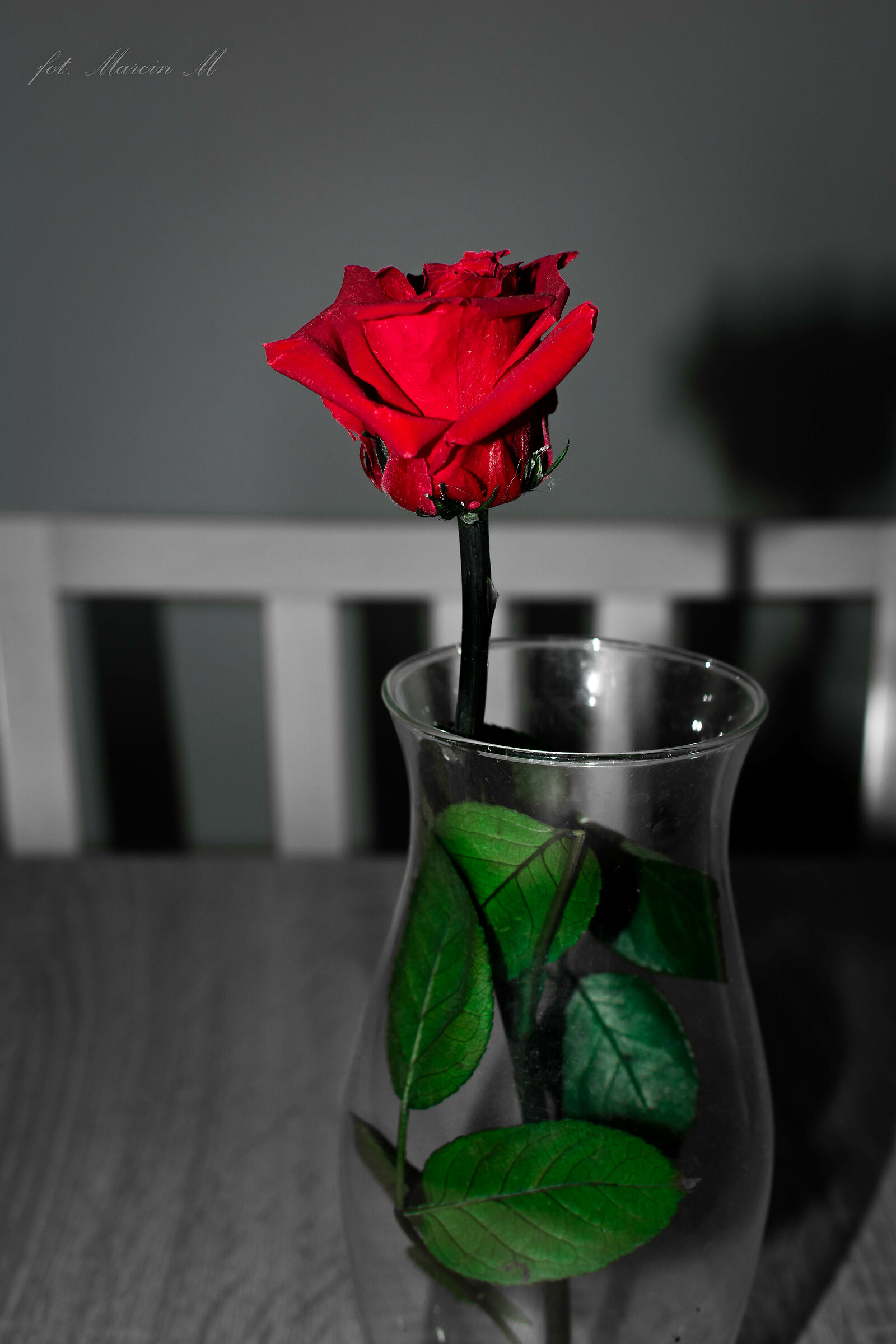 passato semplice di "rise"