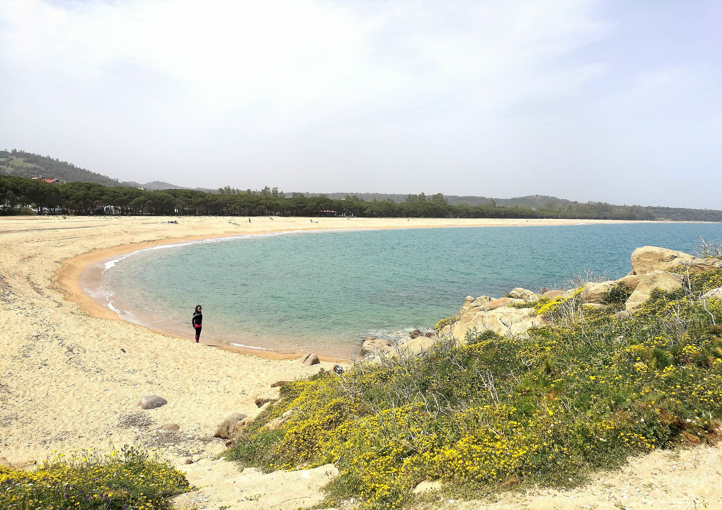 Spiaggia antistante la torre di Barì