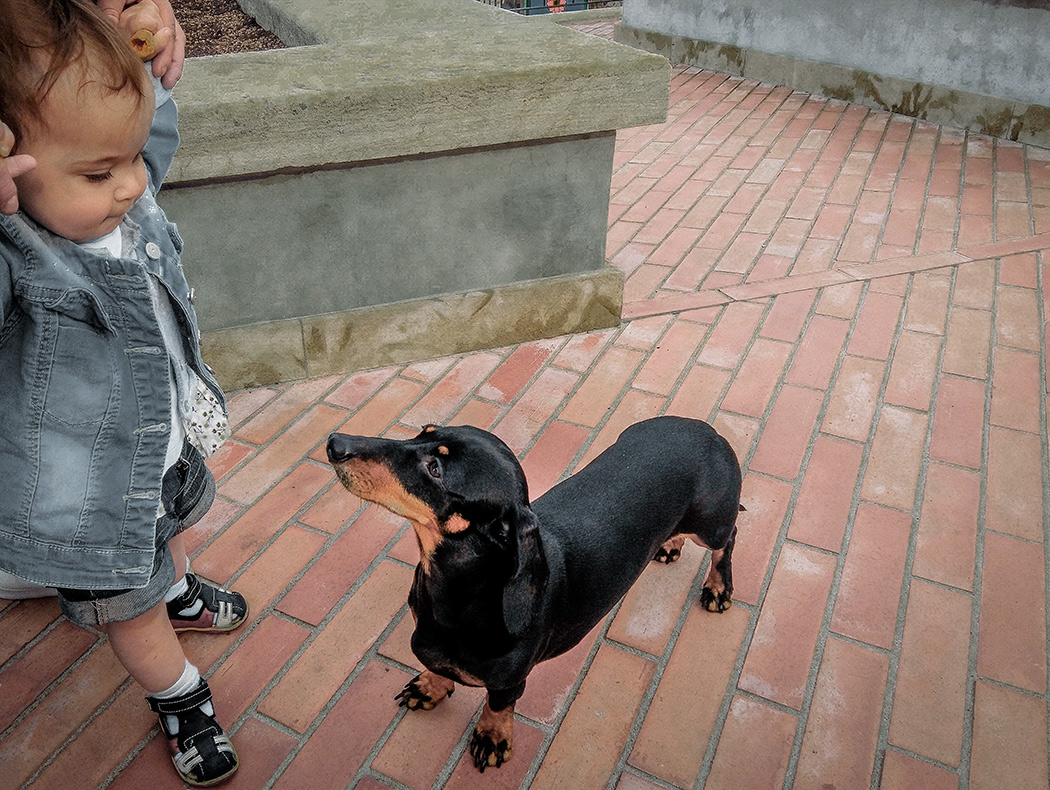 Silent Communication