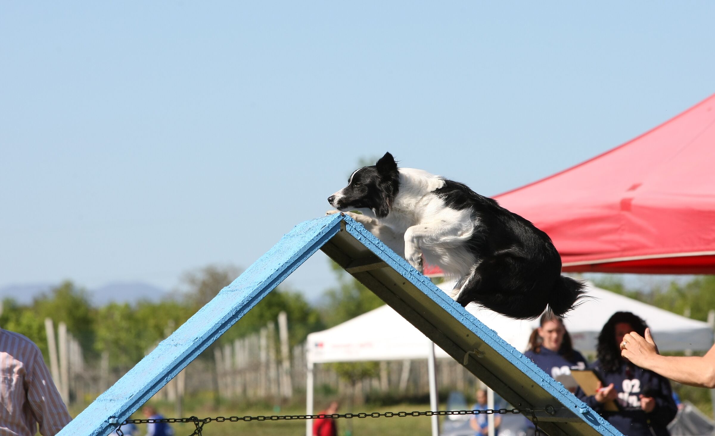 La mia Angie in azione