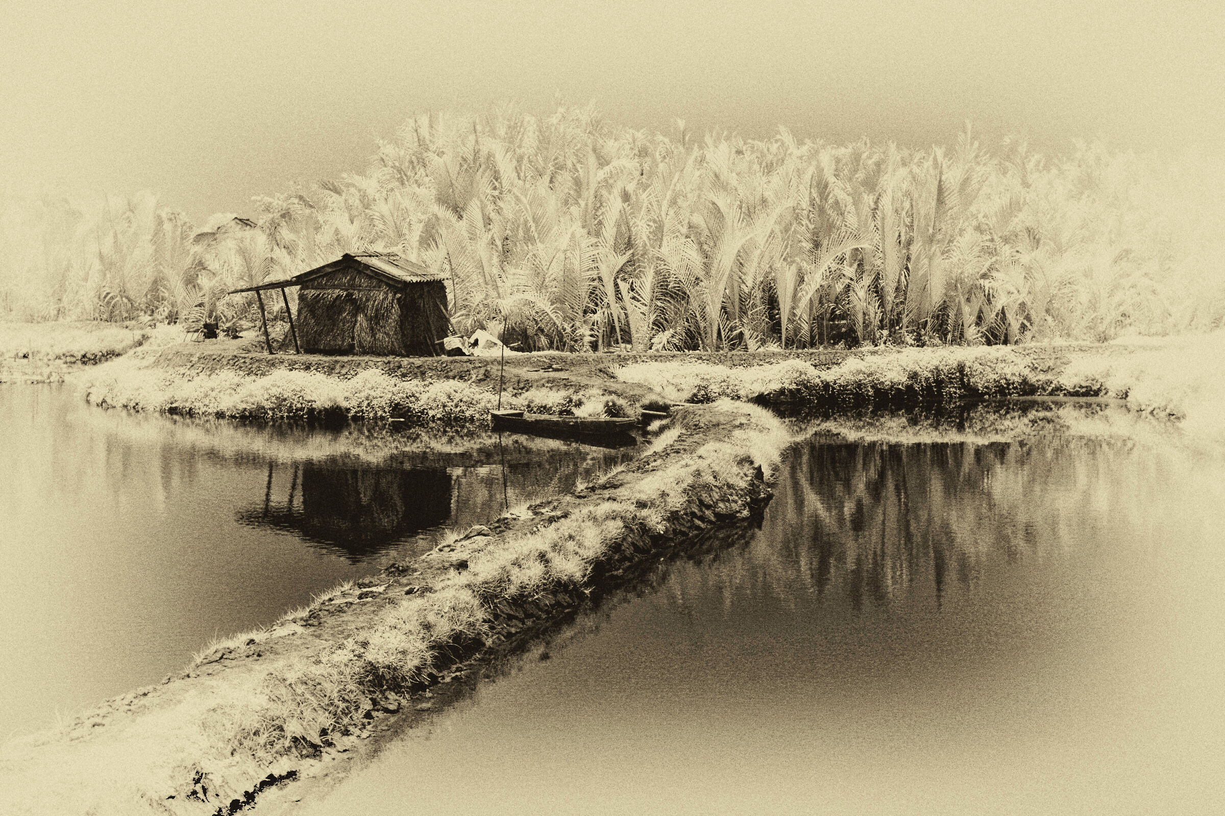 Dintorni di Hoi An, Vietnam