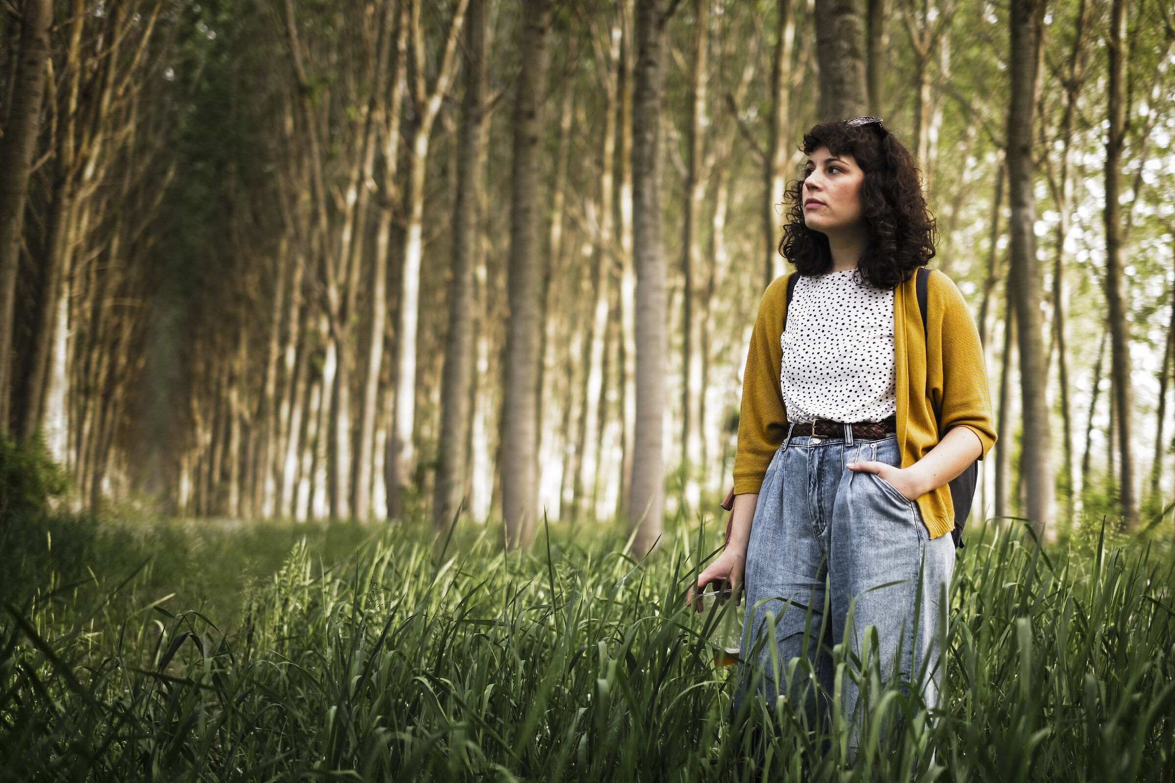 In the Dark Forest..