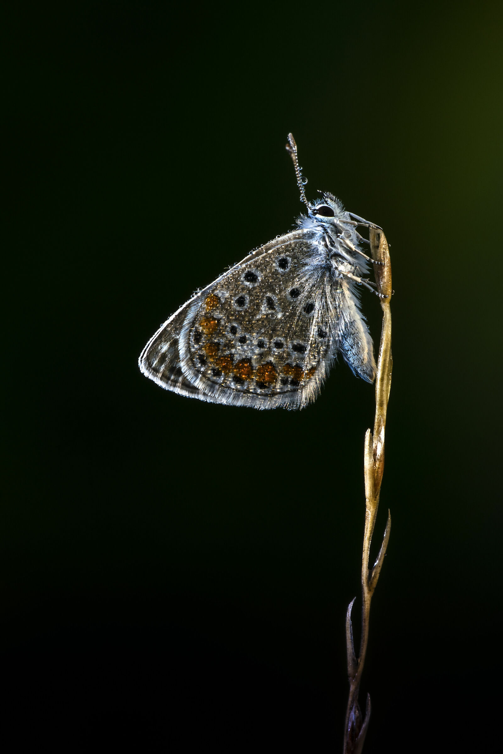 The dawn of a new day