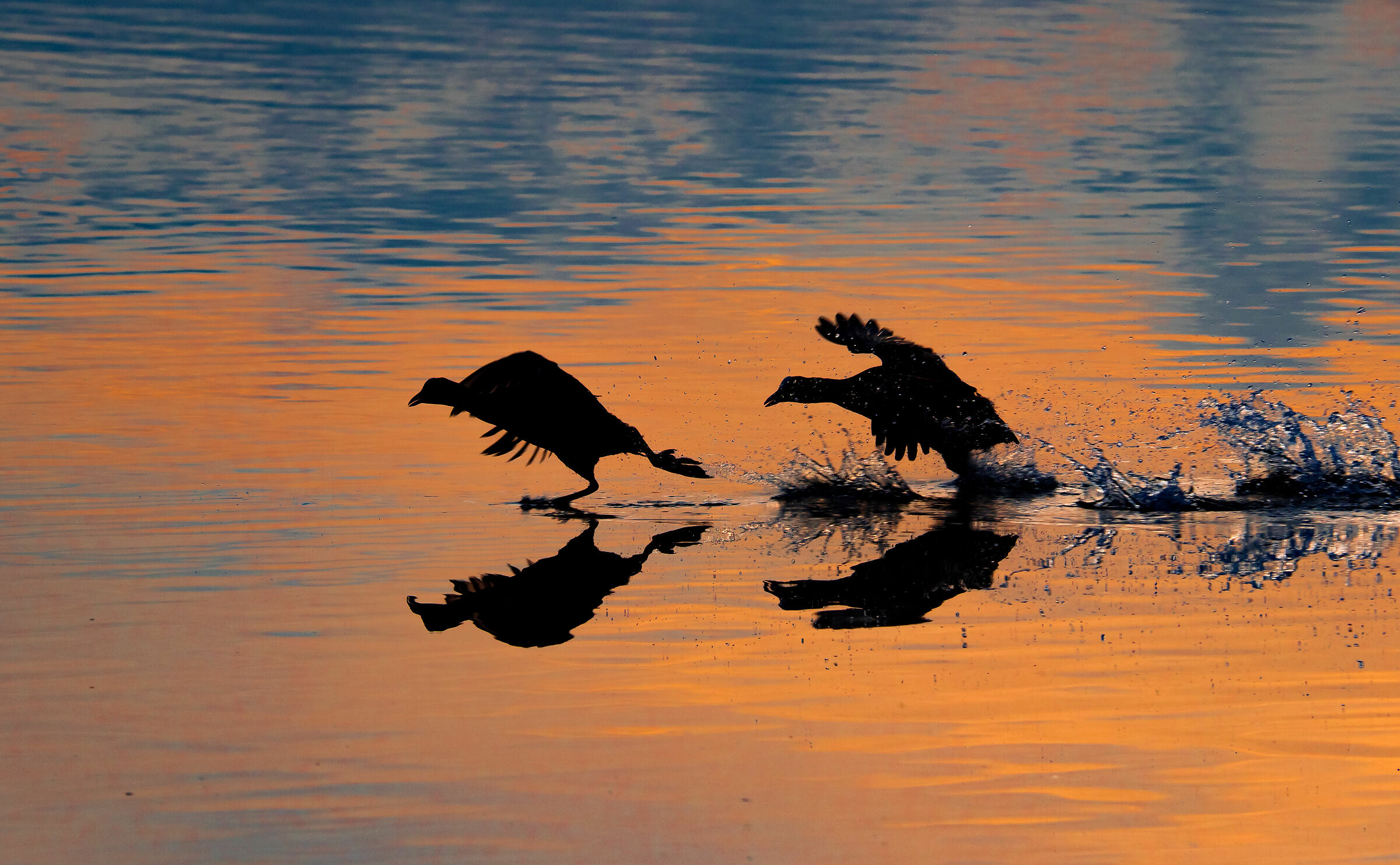 .. The game of command..