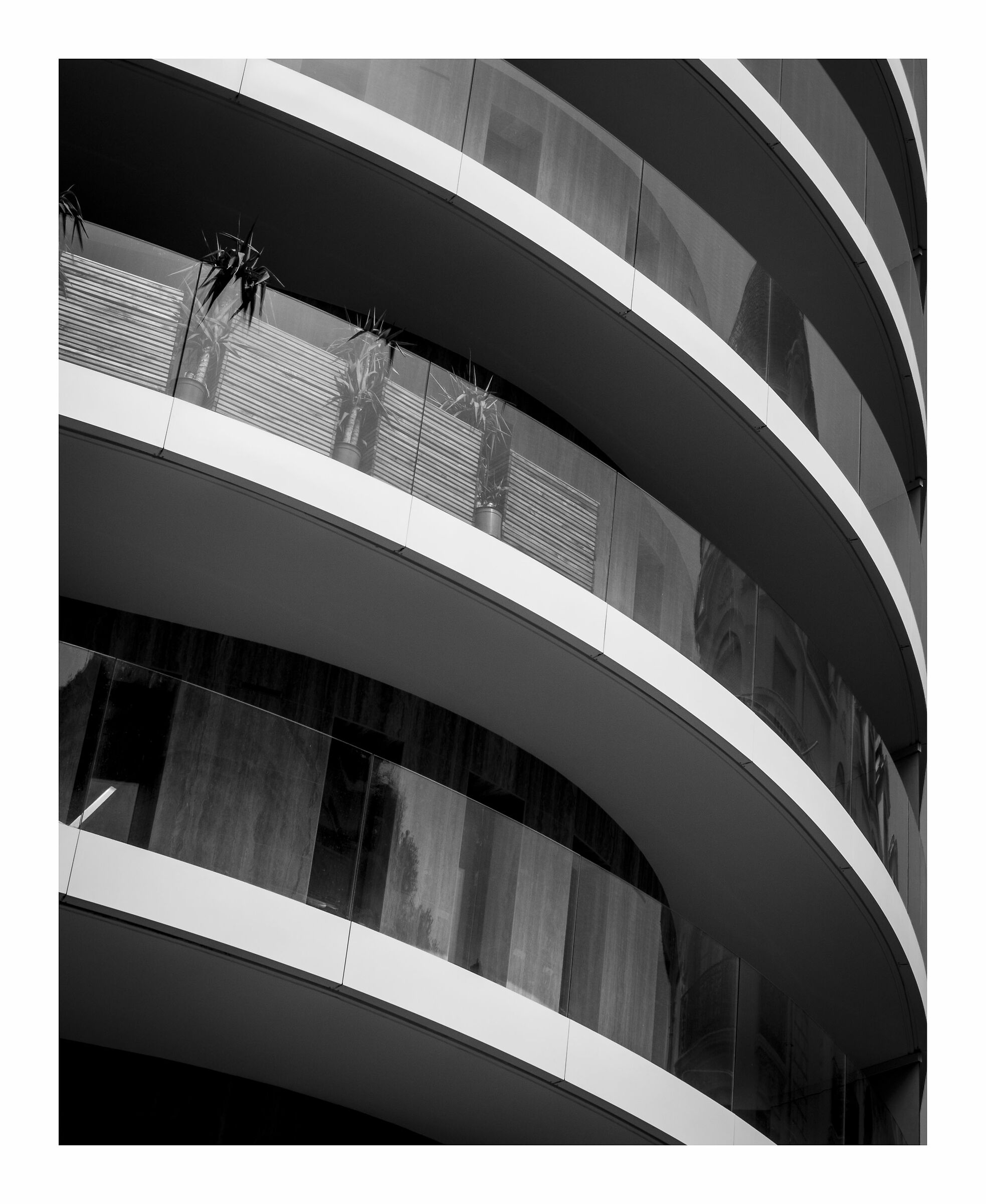 Architectural curves