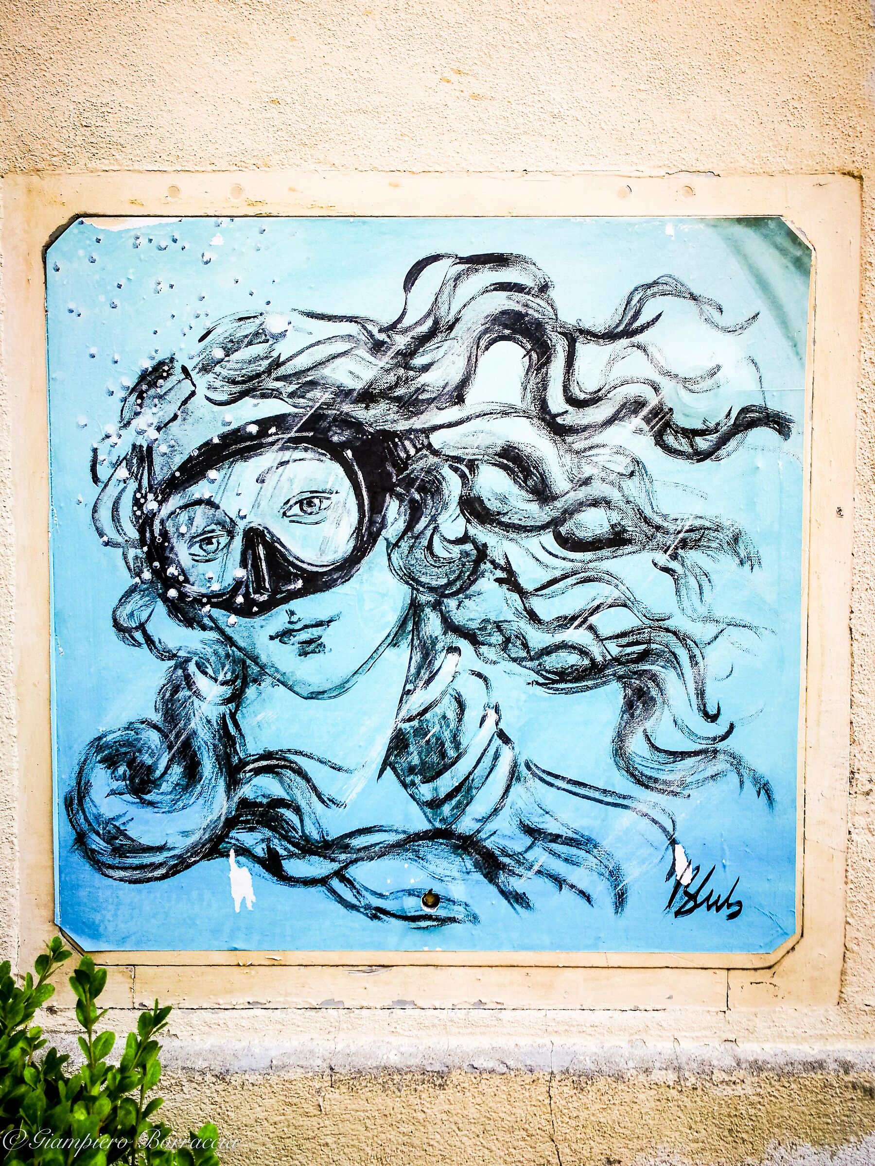 La Venere di Blub(bicelli)