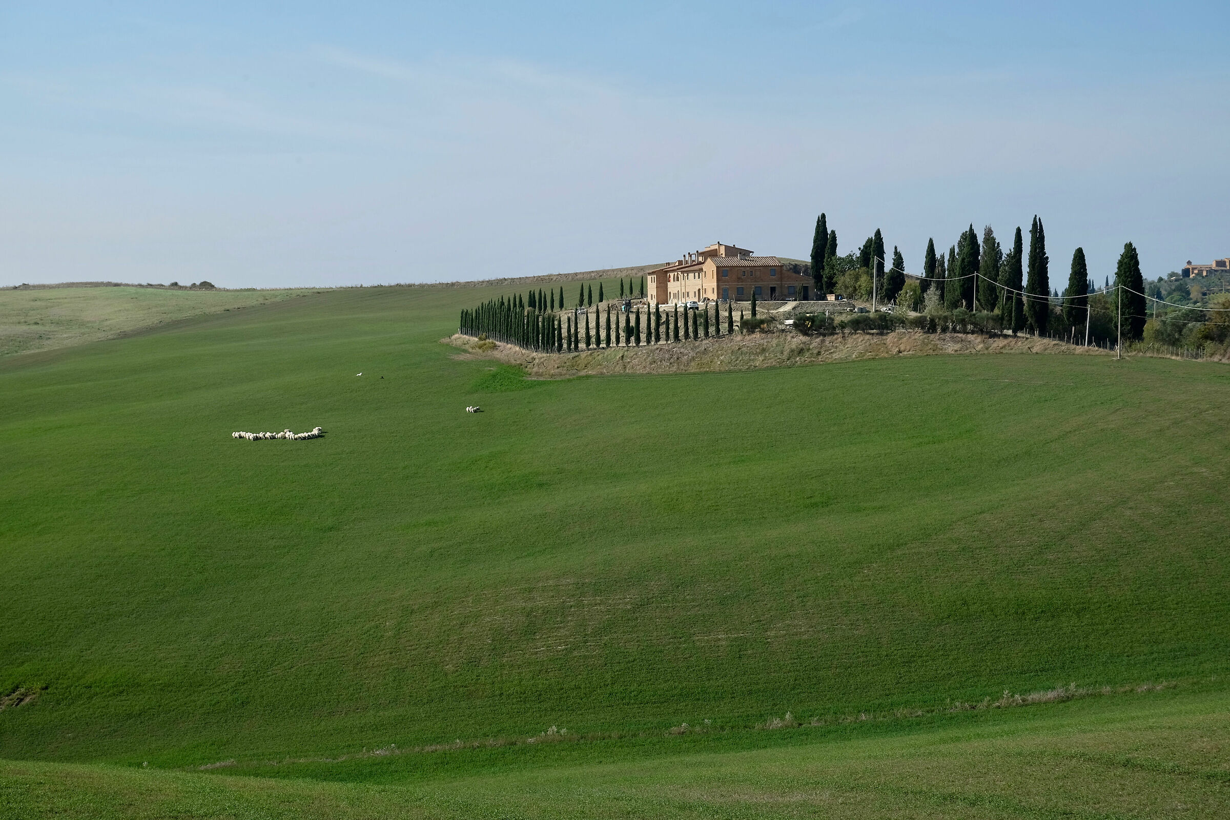 Tuscany-Road of the Pecorile 1
