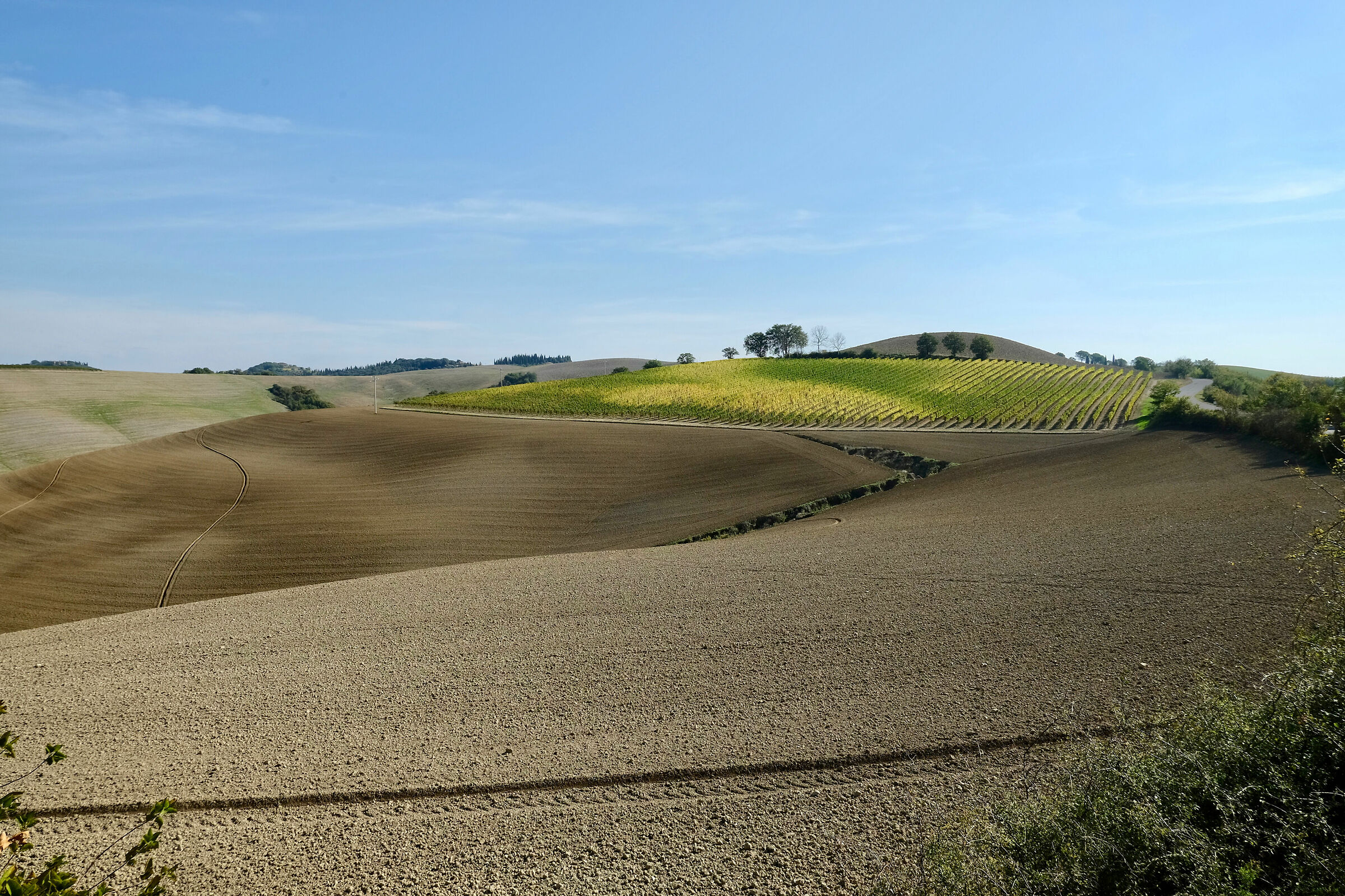 Tuscany-Strada del Pecorile 2