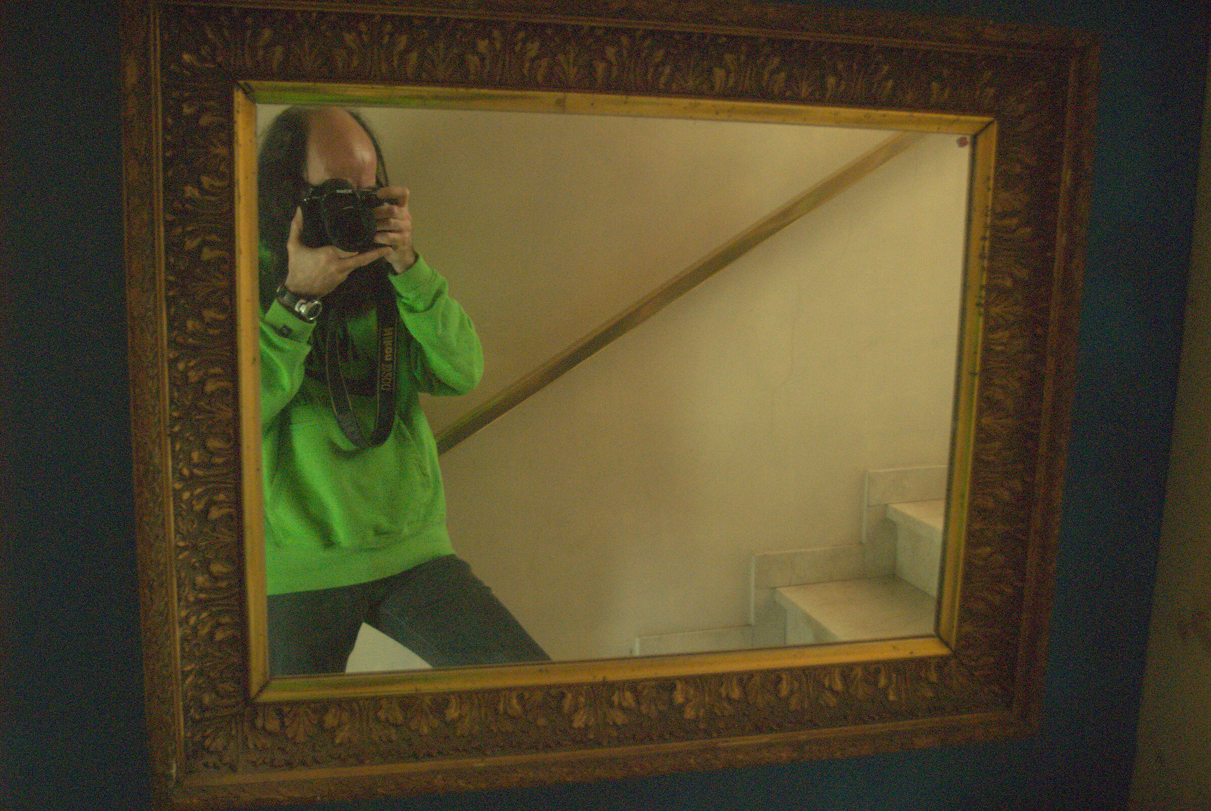 d200 vivitar 19-35 001 raw neutral