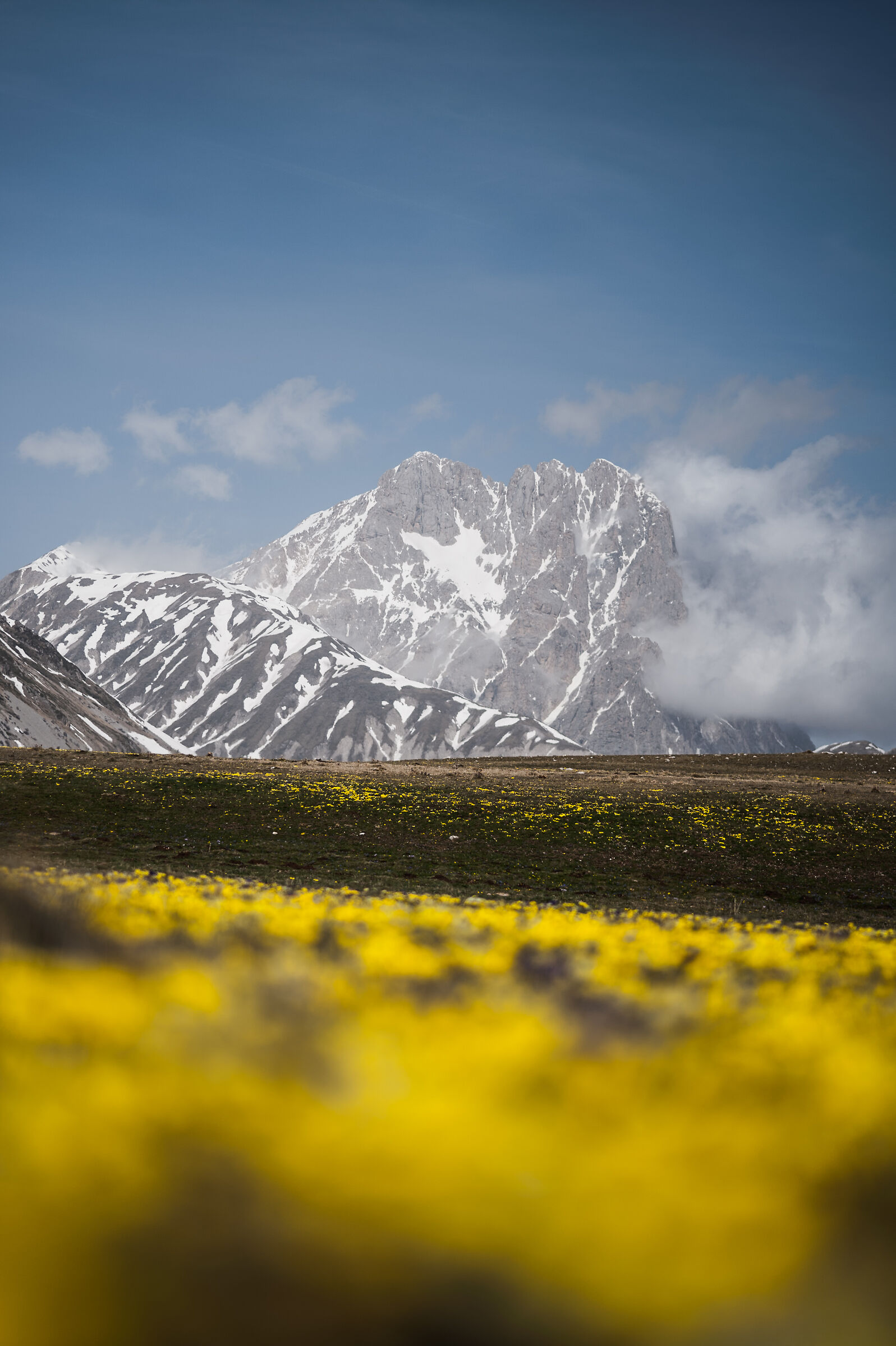La fioritura sul Gran Sasso