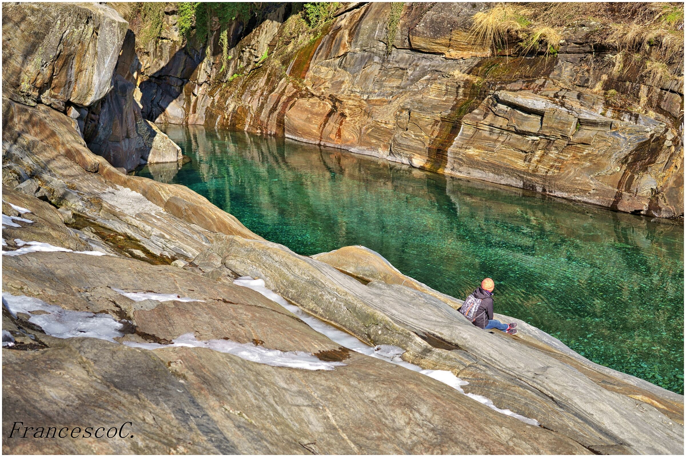 Ammirando la verde vasca
