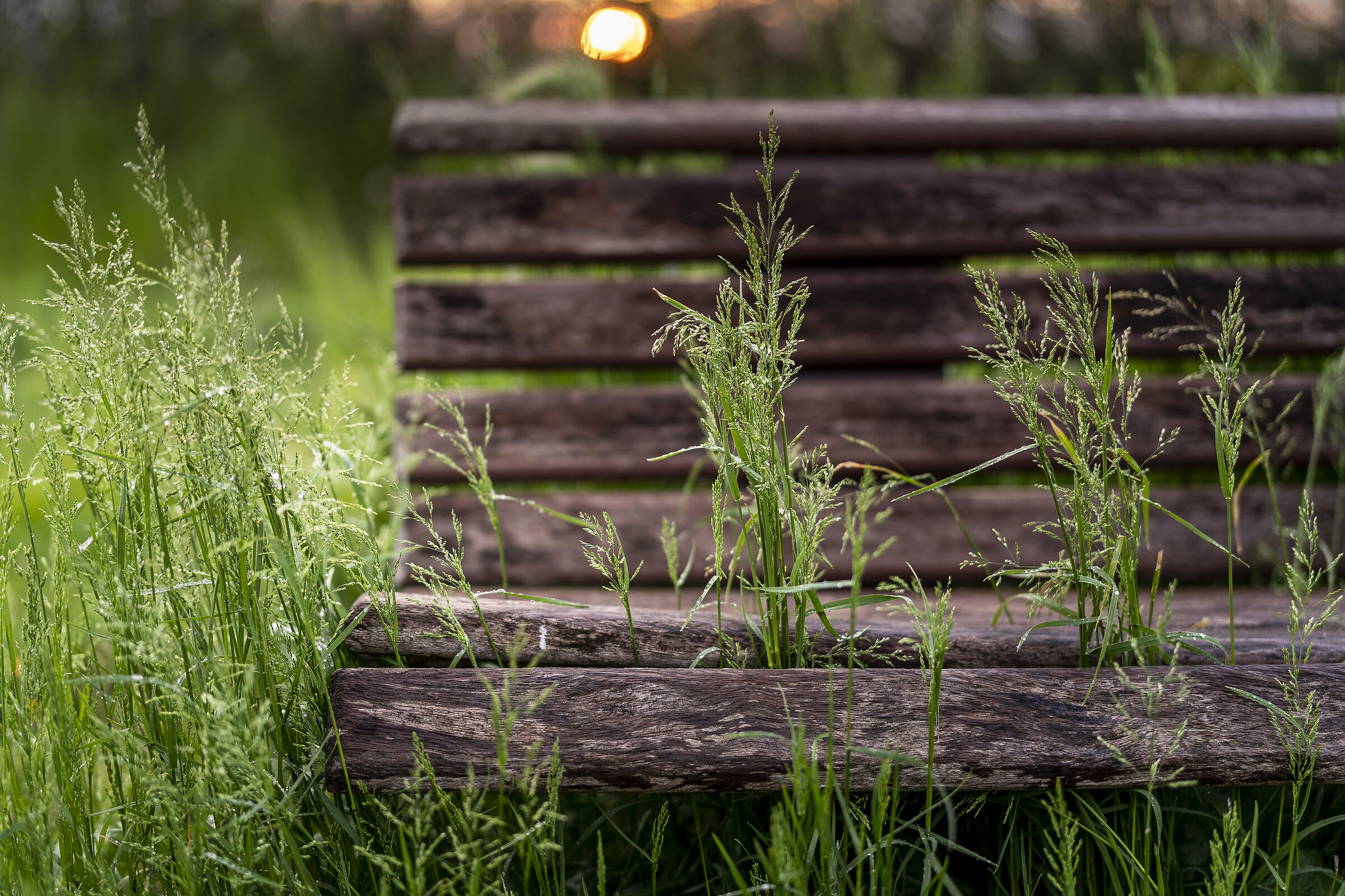 La natura vince sempre