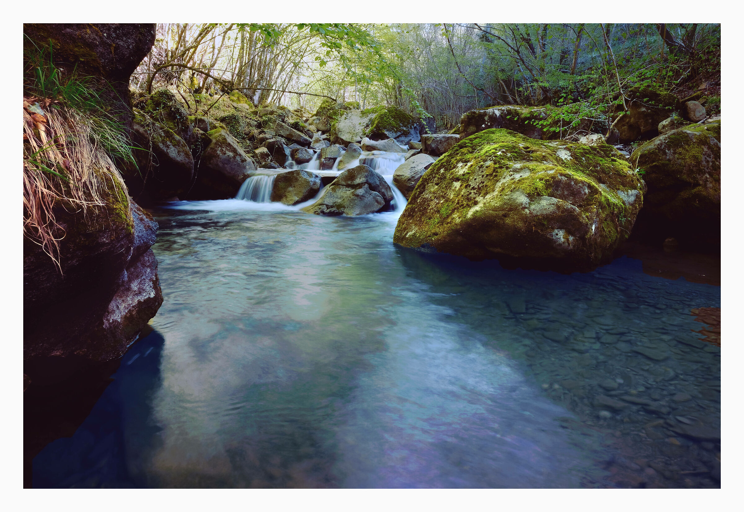 Spring in the River Vona