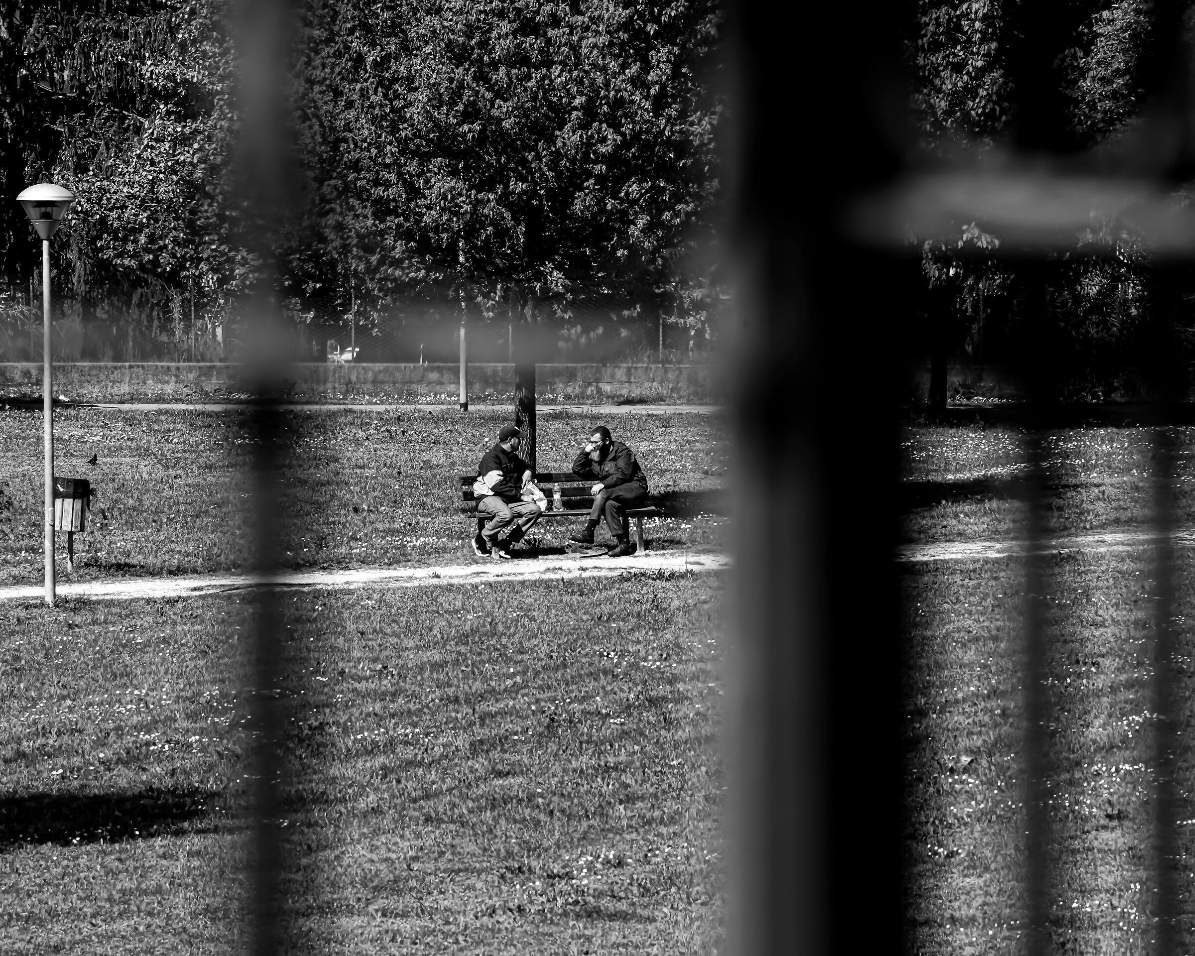 Two chats at the park