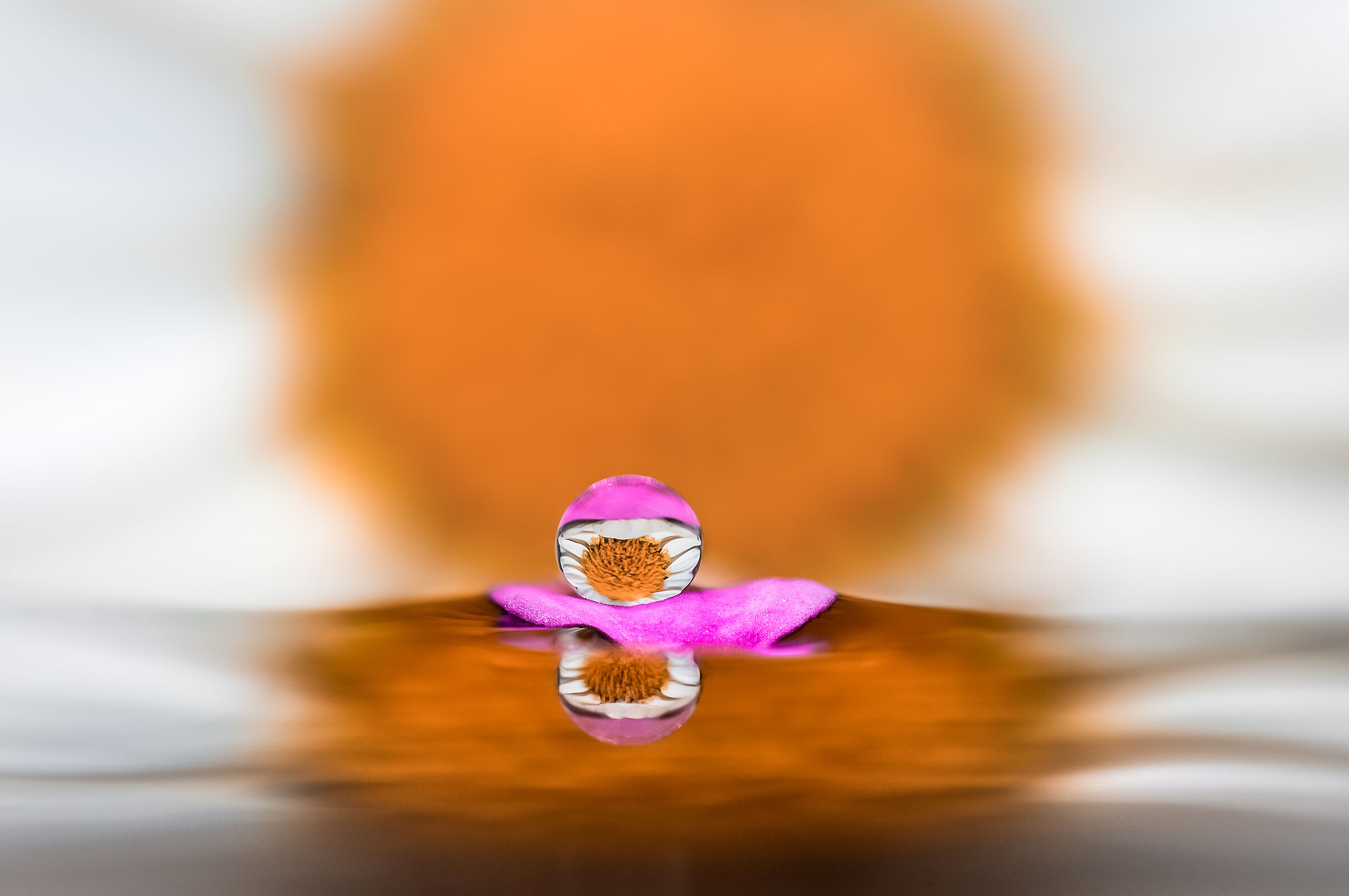 cast away Drops Flowers Gocce Fiori Riflessi