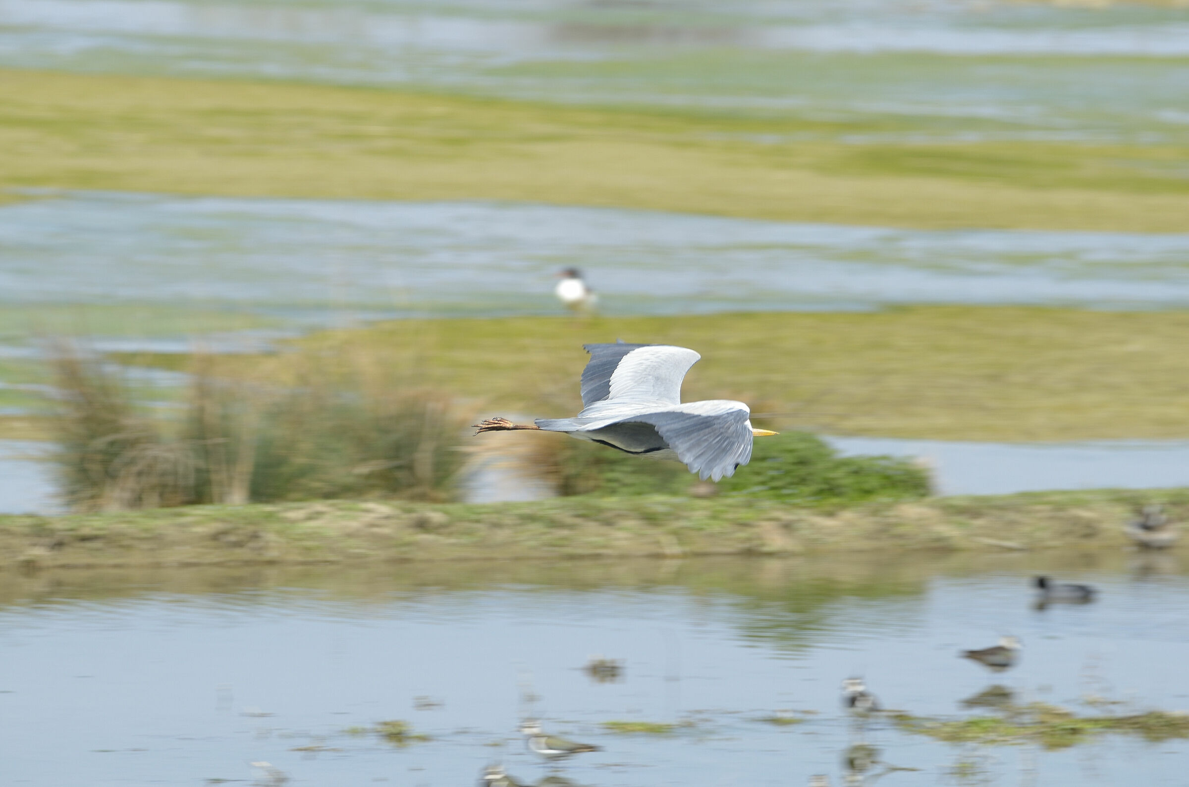 Imperfect photo But I will learn;)