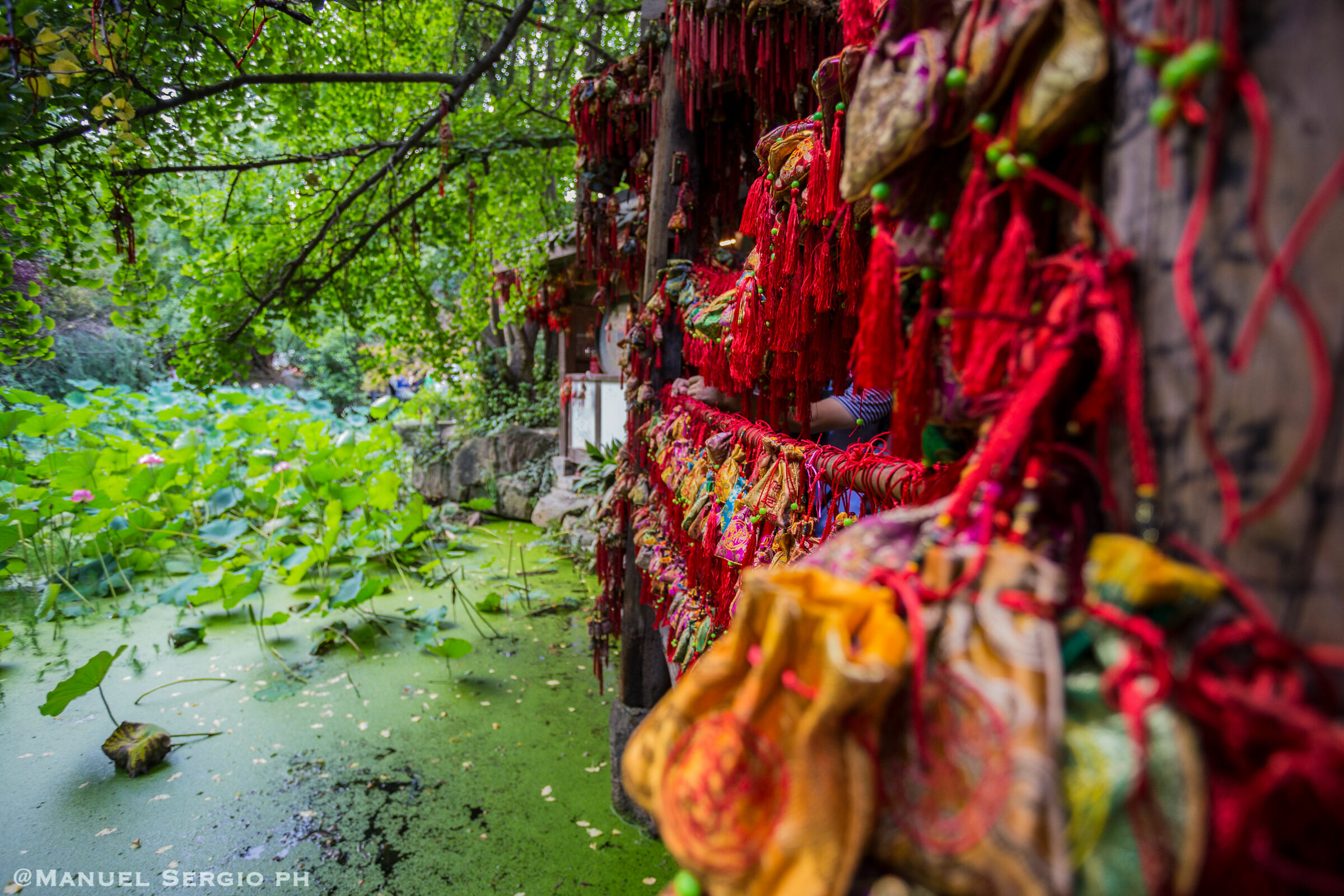NAPPINE IN CHENGDU, CHINA