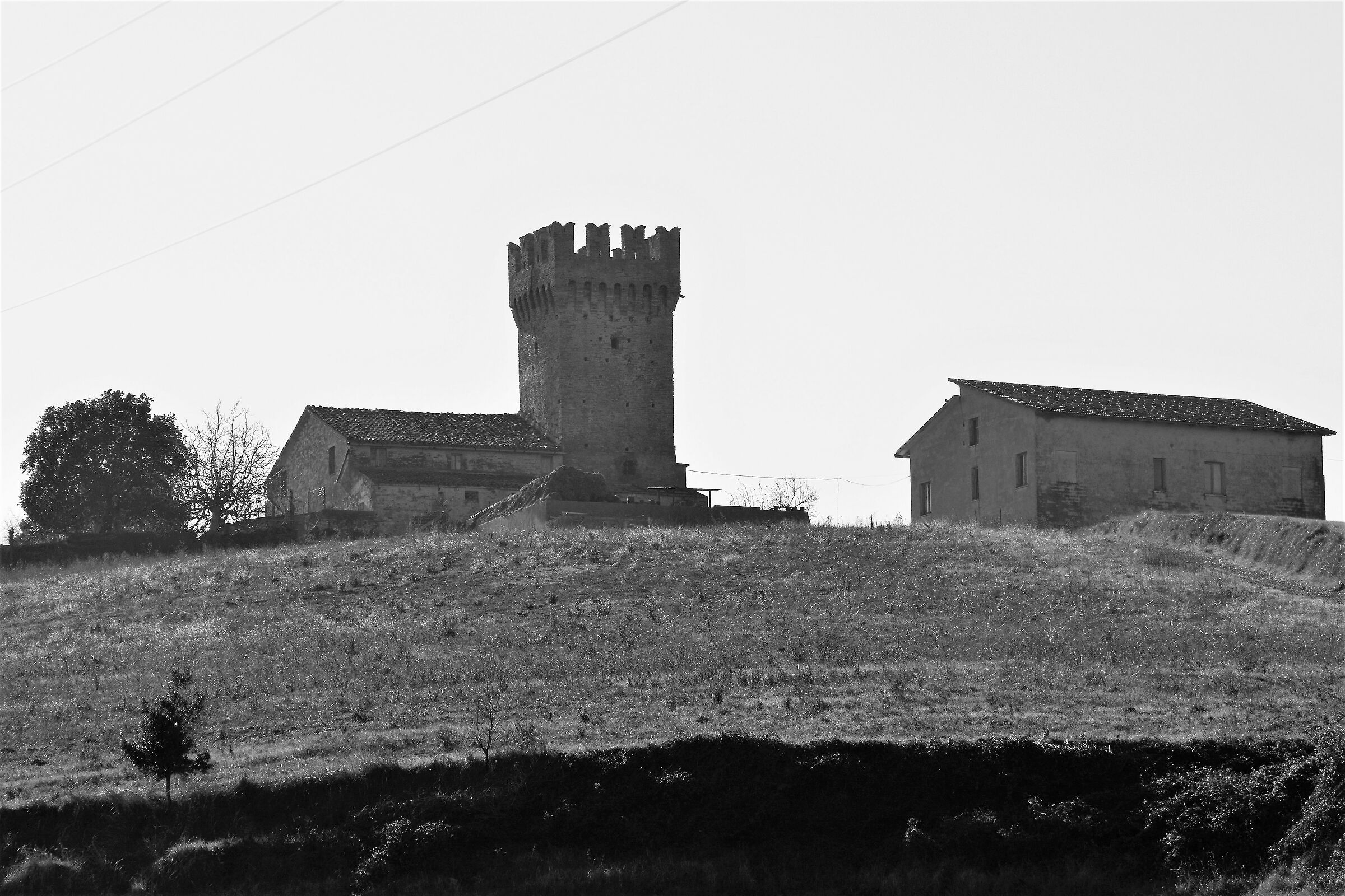 Fermo