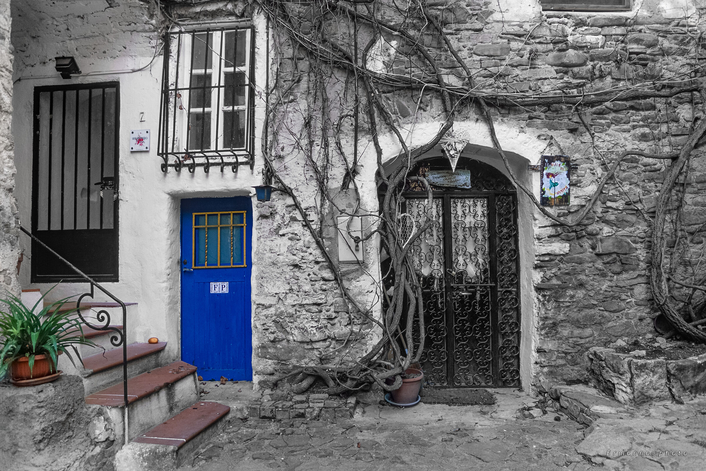 The Blue Door