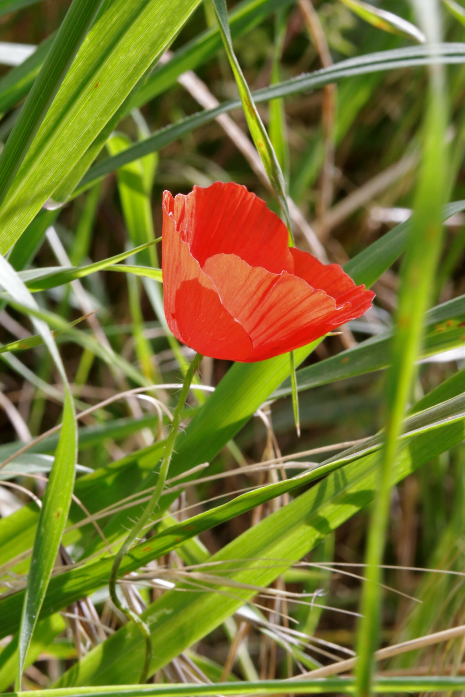 What you have to do to make a living!