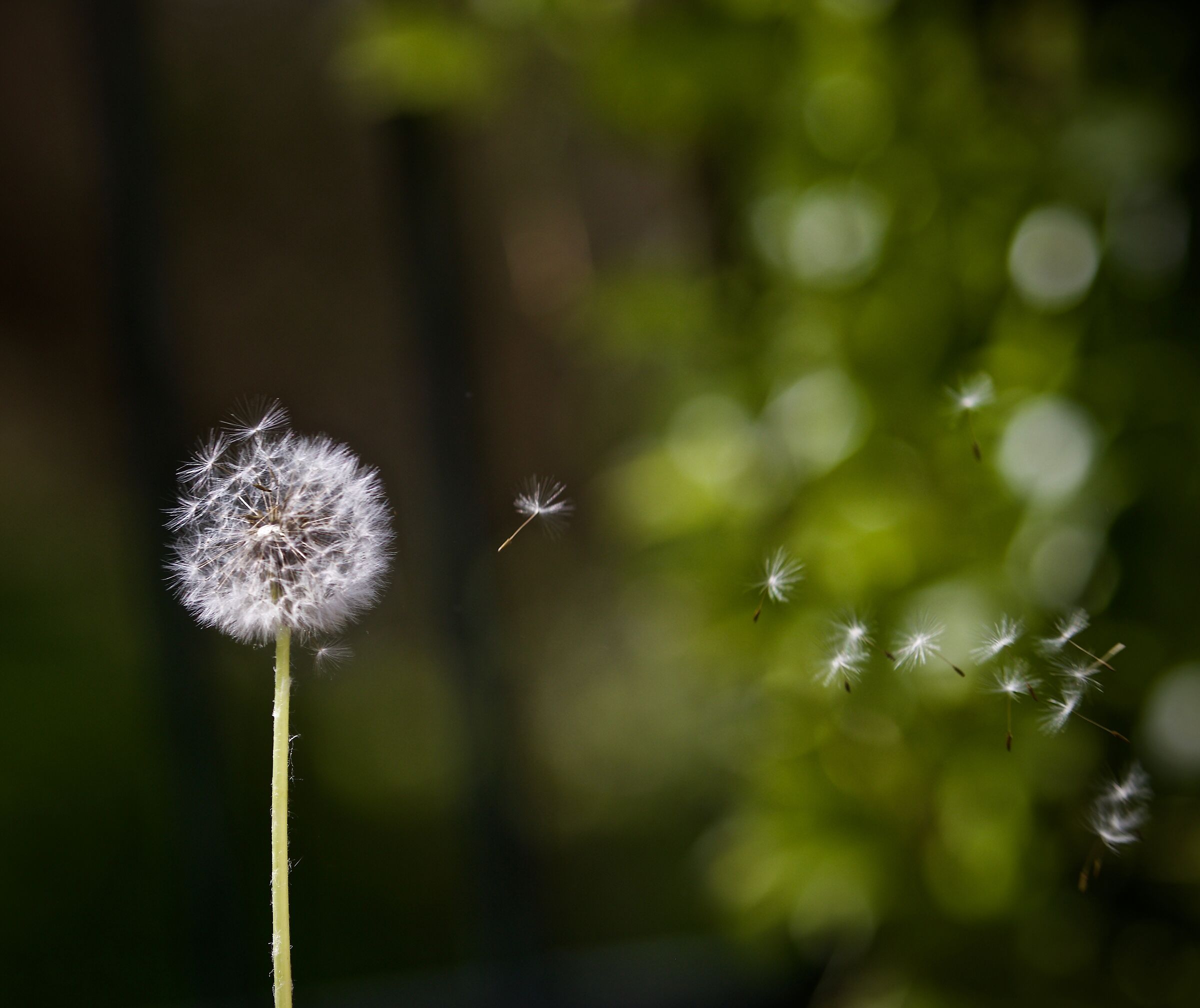 And now I'm flying away