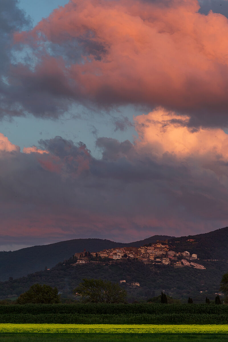 Scarlino with contrasting colors