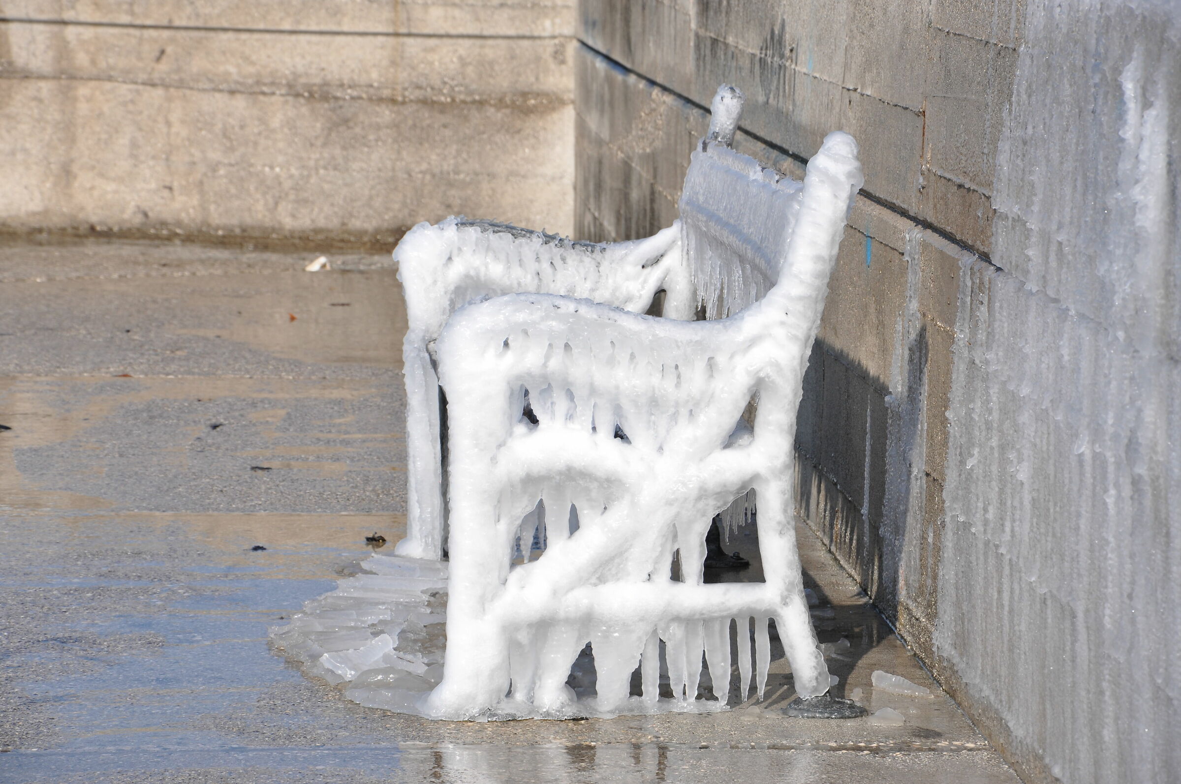 Muggia-Bora and Frost