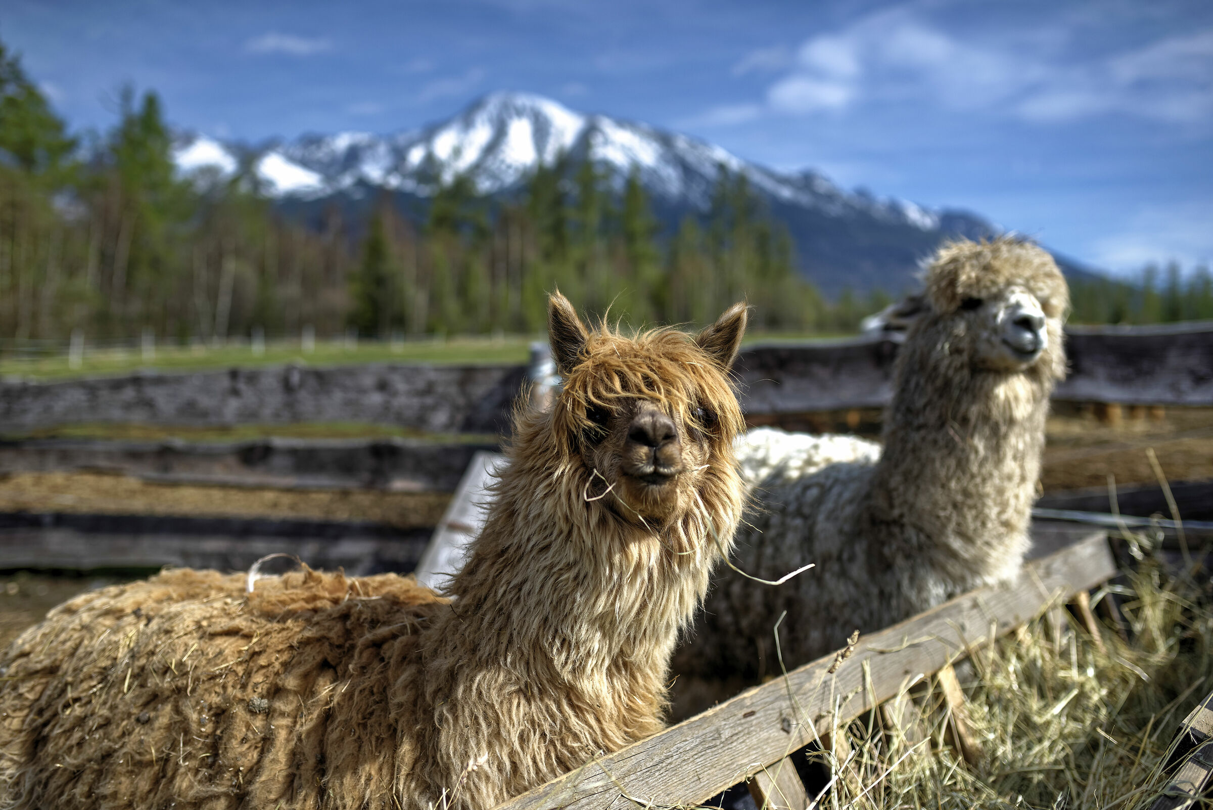 C'era una volta negli Alti Tatra