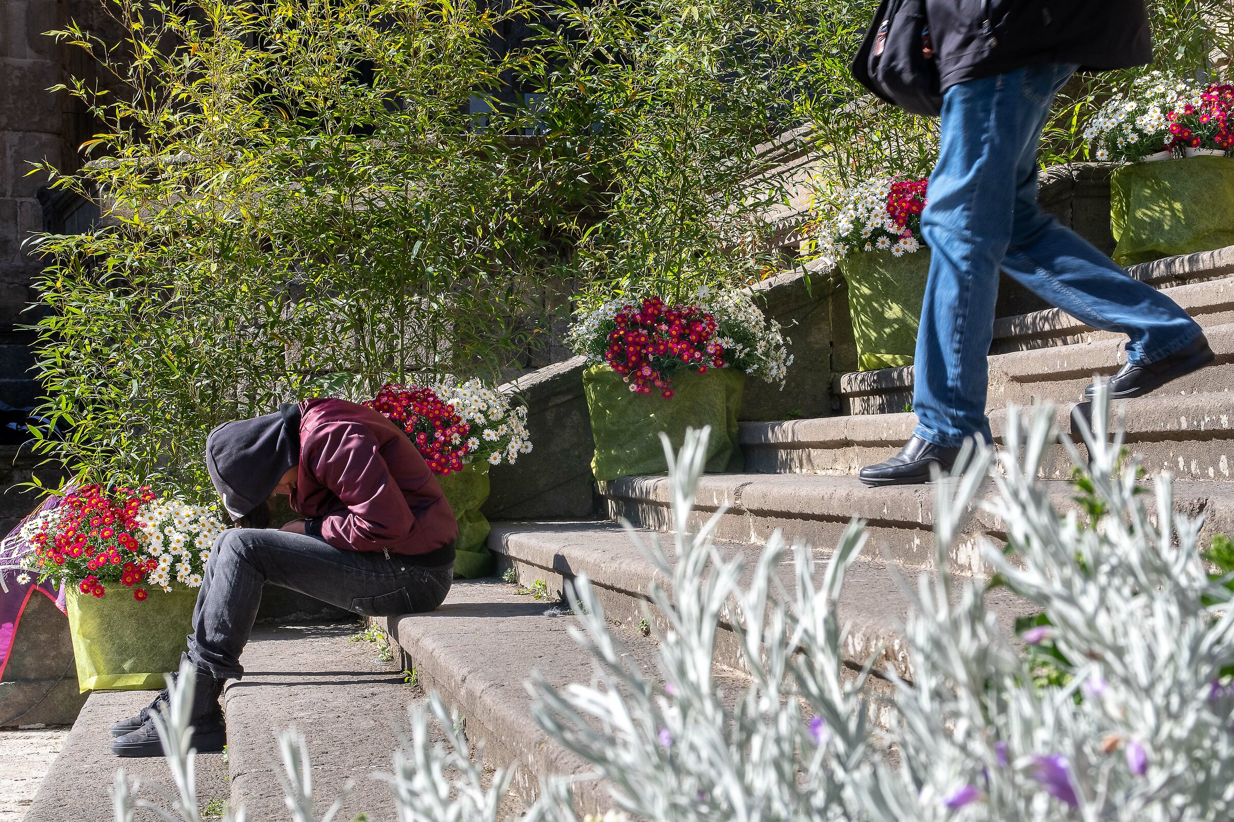 Viterbo,San Pellegrino in Fiore