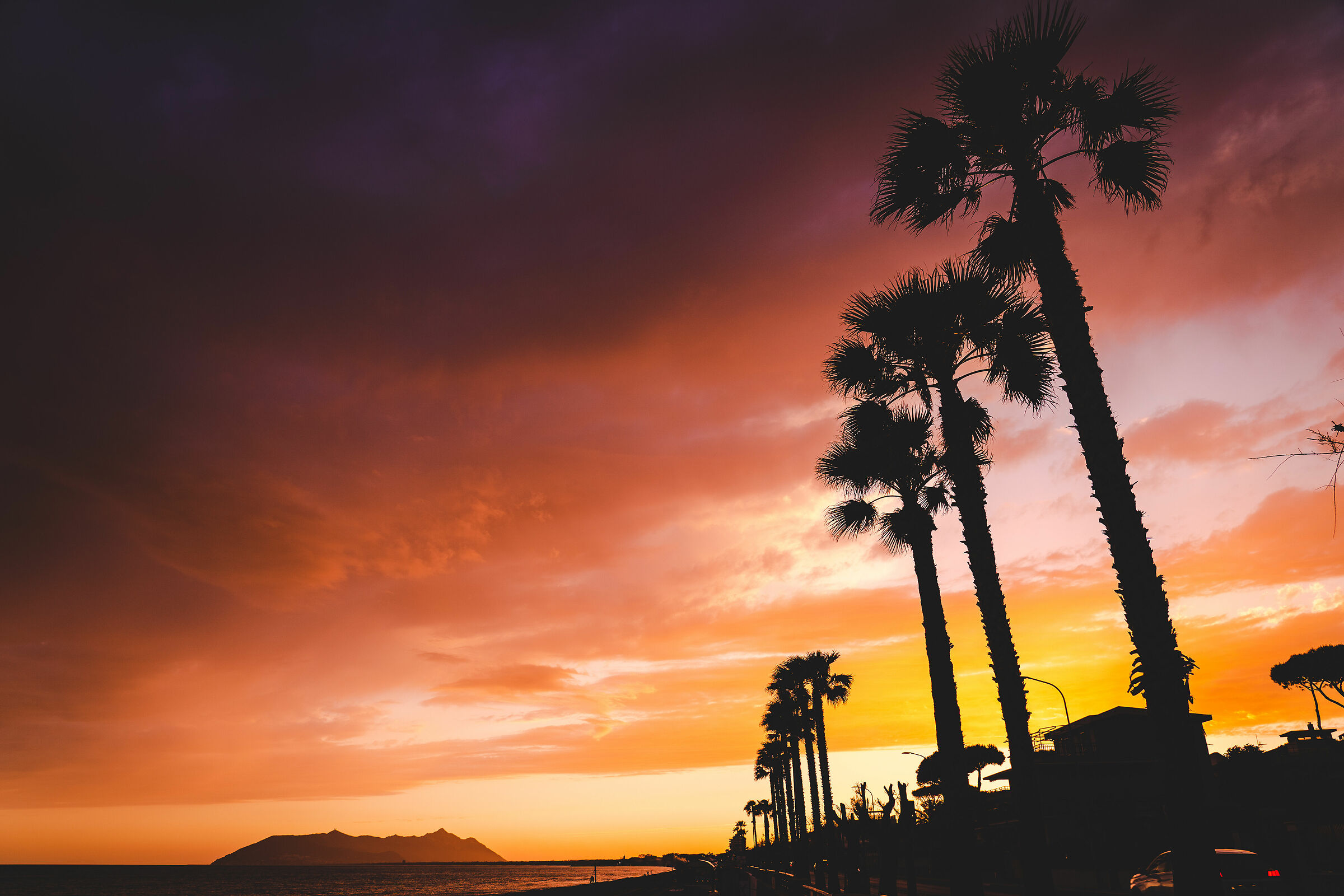 Tramonto con Palme